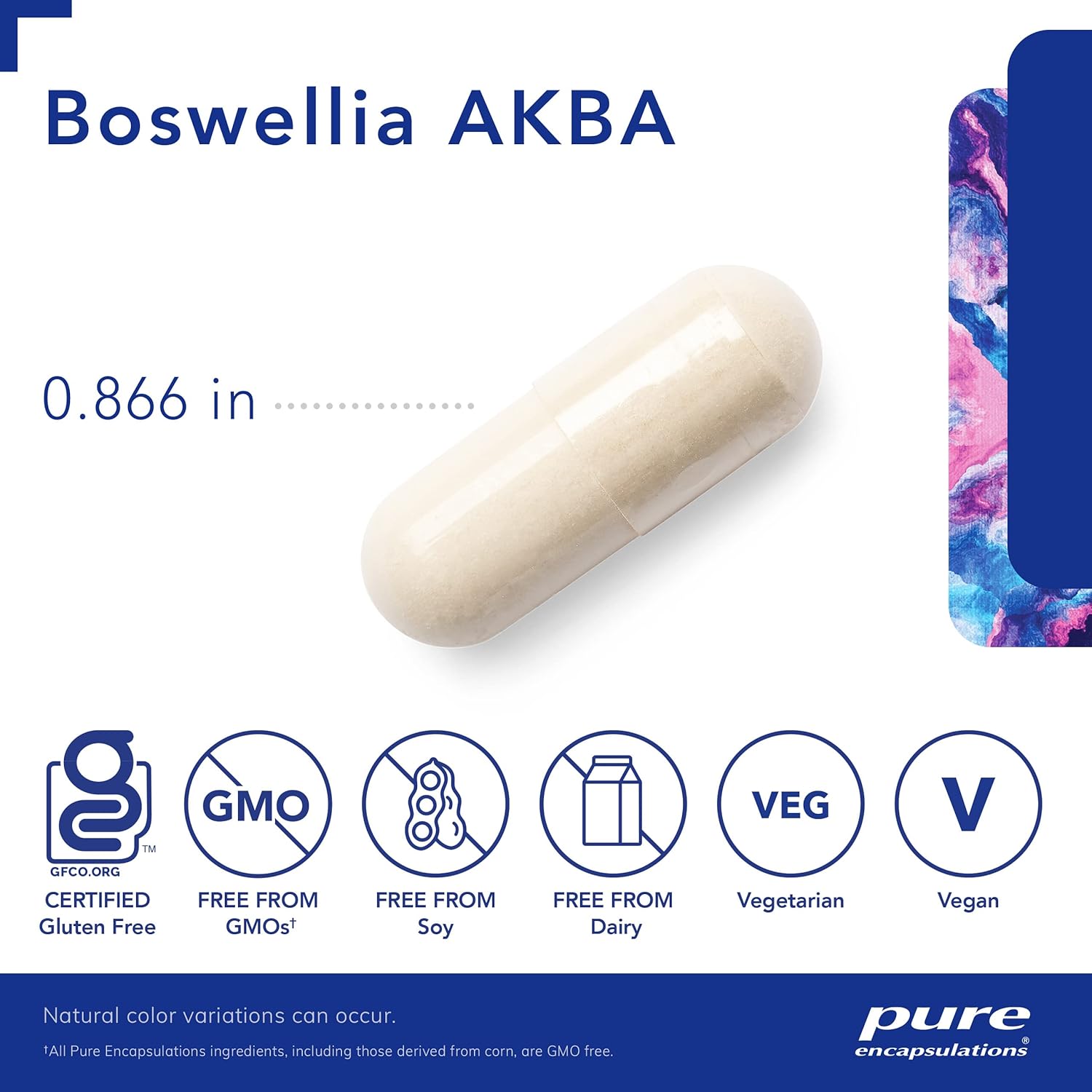 Premium Boswellia AKBA Capsules - Promotes Joint, Colon, & Immune System Health - 5-LOXIN Extract - Vegan & Non-GMO - 120 Count