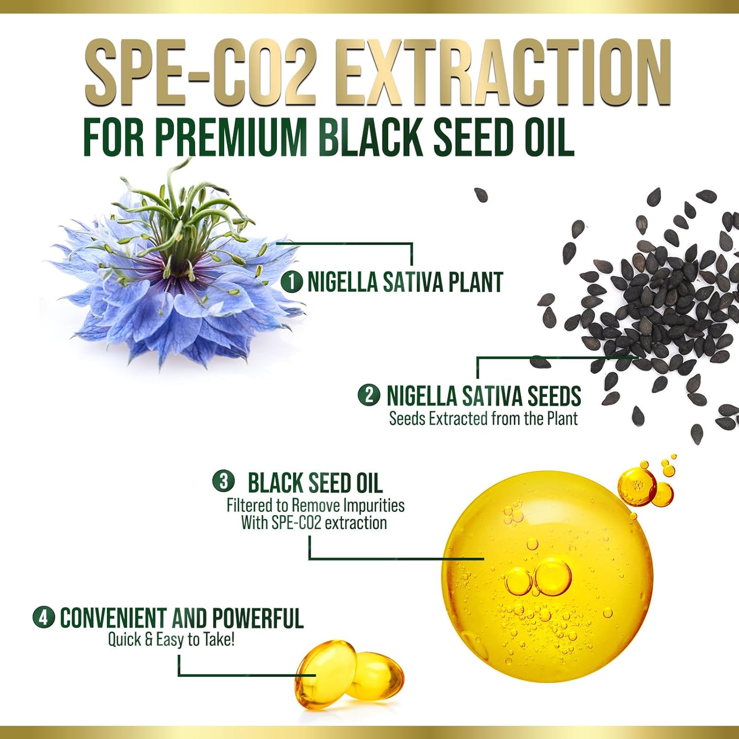 Premium Cold Pressed Black Seed Oil Softgels 1000mg - Pure Nigella Sativa Black Cumin Seed Oil for Skin & Immune Support - Non-GMO Antioxidant Supplement - 60 Softgels