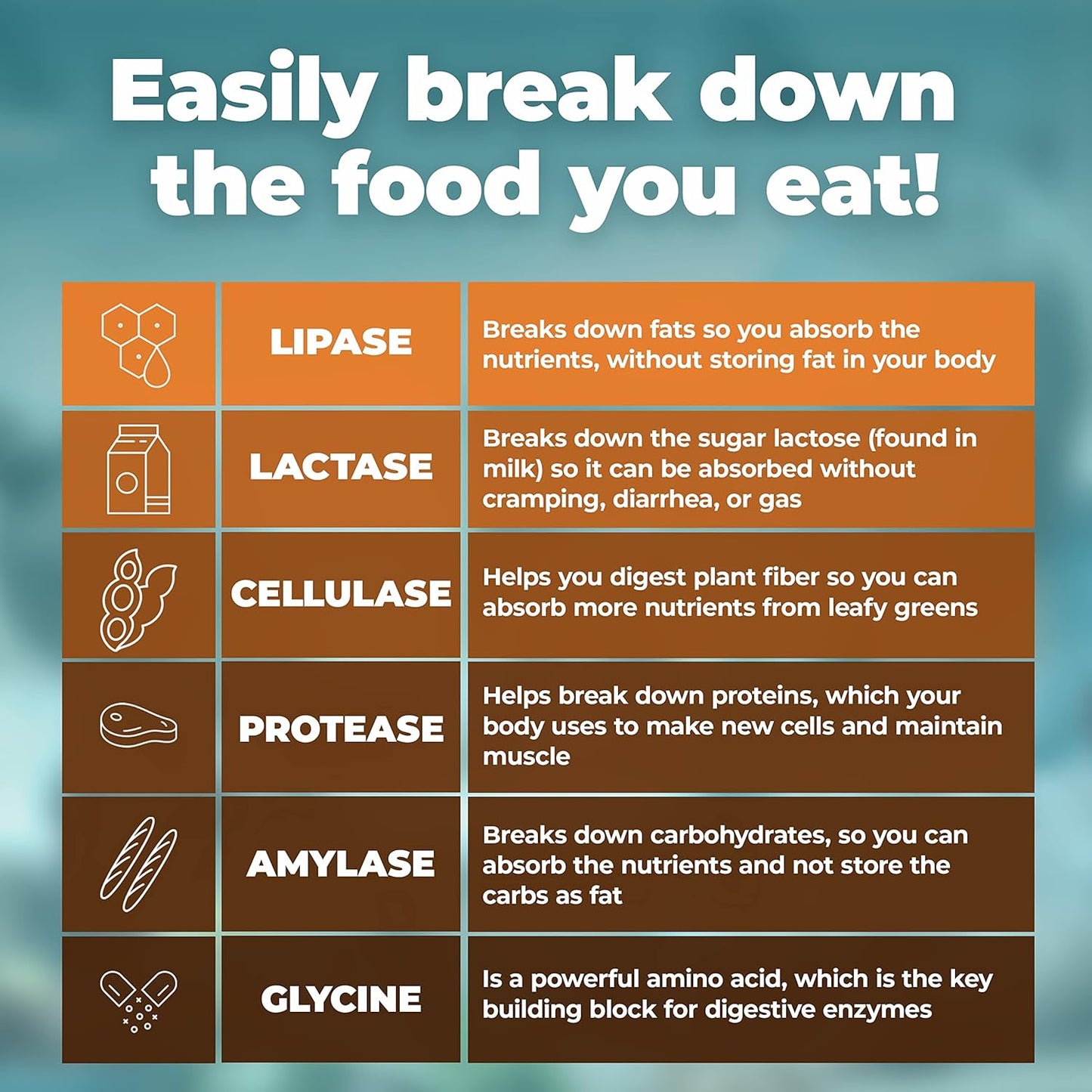 Premium Digestive Enzyme Supplement for Better Digestive Health - Made in USA with Lactase and Lipase Enzymes - 90 Capsules, Bloating Relief