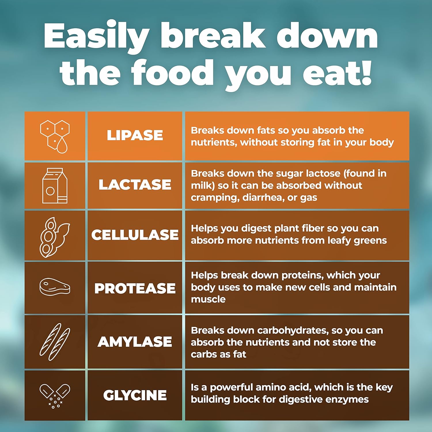 Premium Digestive Enzyme Supplement for Better Digestive Health - Made in USA with Lactase and Lipase Enzymes - 90 Capsules, Bloating Relief