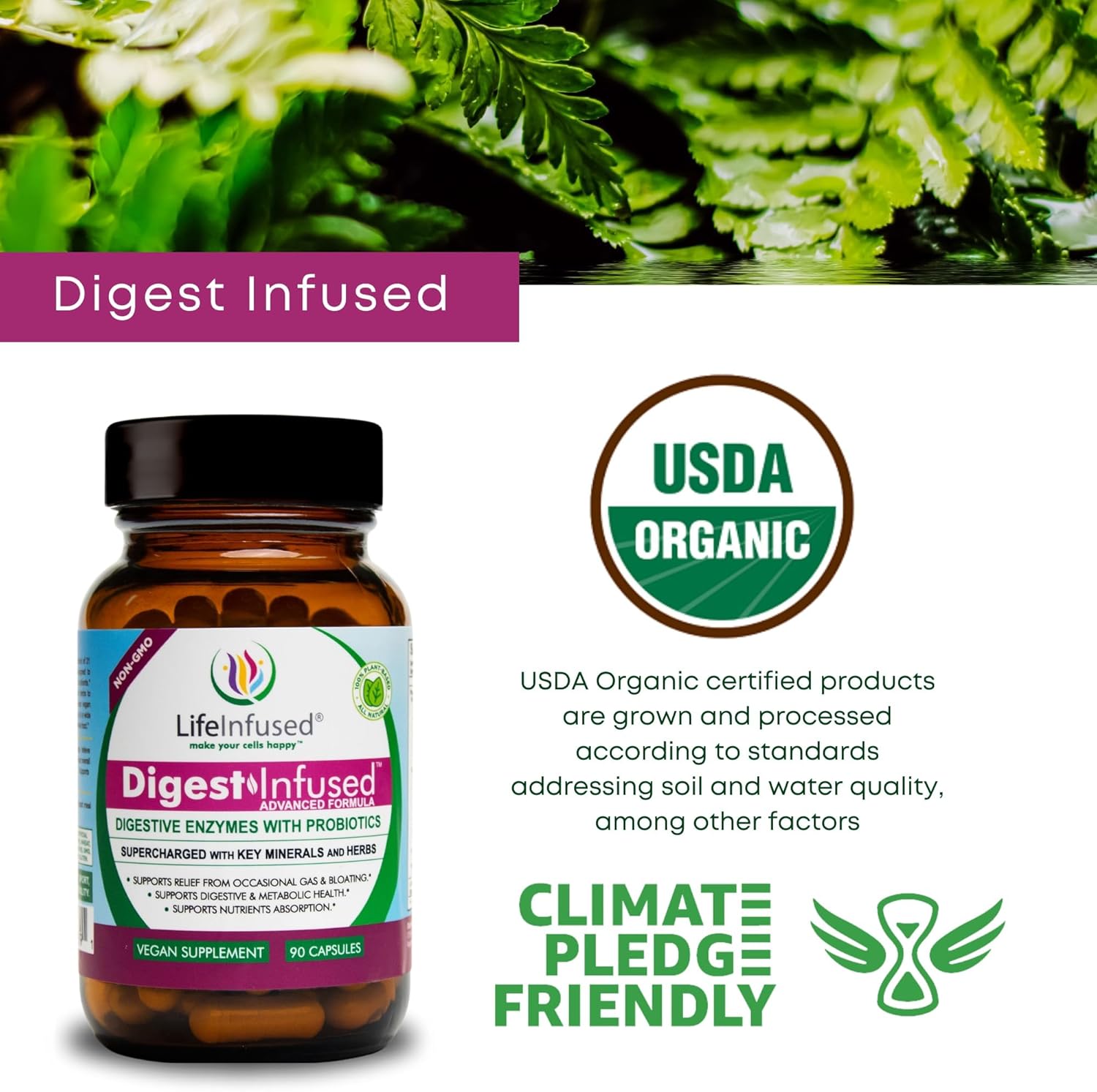 Premium Digestive Enzyme Supplements with 21 Plant-Based Enzymes, Probiotics, and 72 Key Minerals - Ease Gas & Bloating - 90 Servings