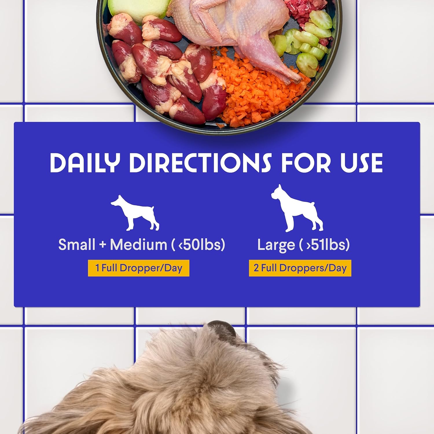 Premium DMG Liquid for Dogs - Supports Immune Health, Skin, Stamina, Muscles, Stress, Performance - Dimethylglycine Supplement for All Breeds - 4oz