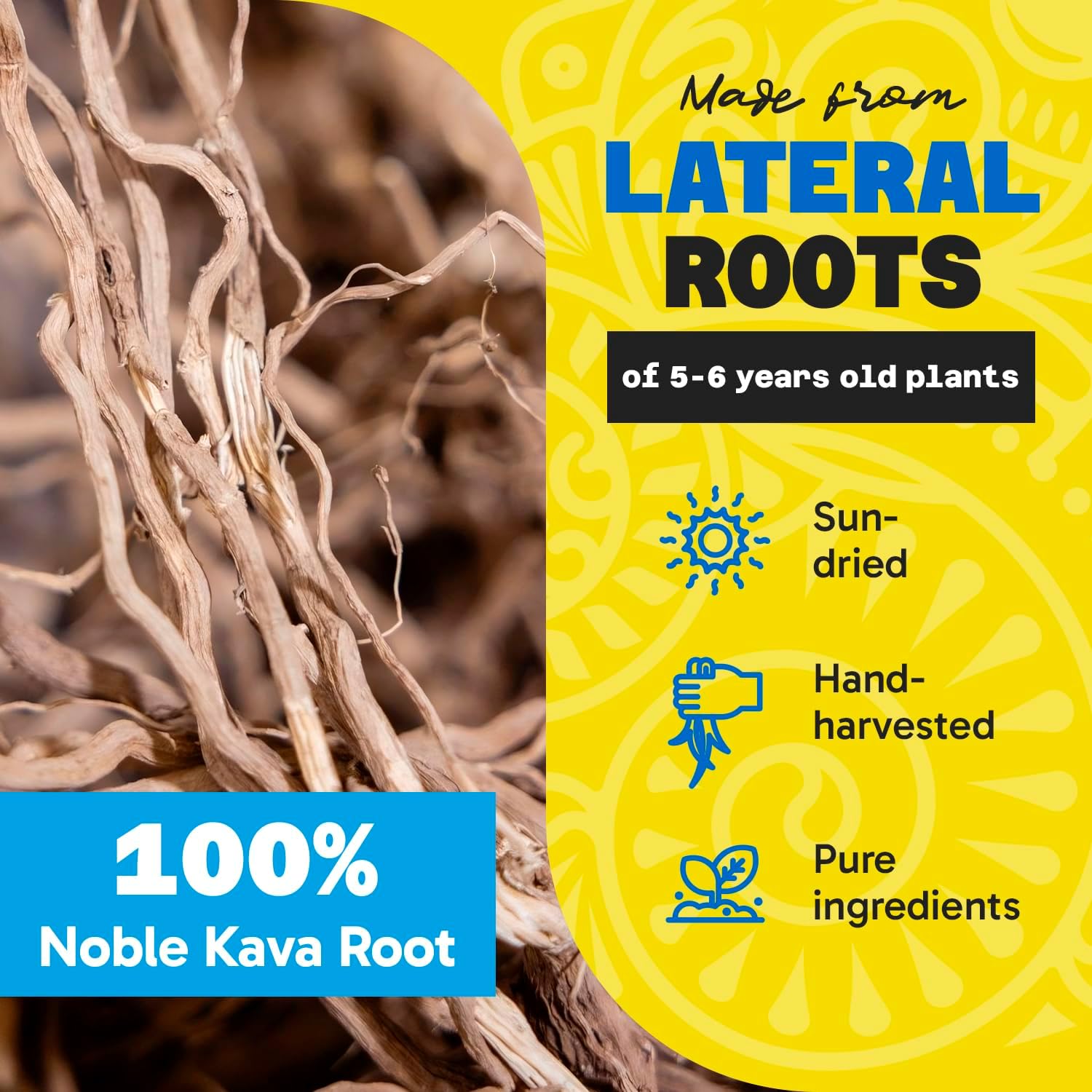 Premium Fiji Vanua Kava Vanuatu Powder - Pure Noble Kava with Sun-Dried Roots - High Kavalactones - Easy to Prepare Medium Grind Kava Root Powder - 8 oz