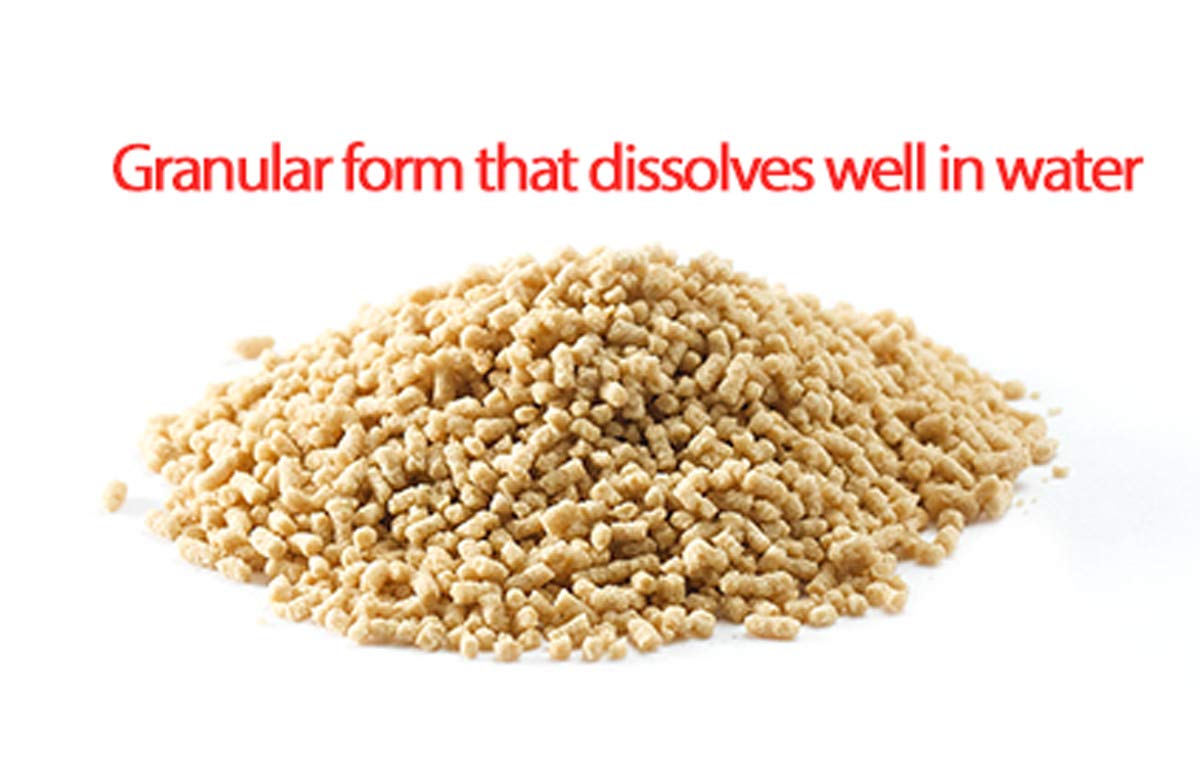 Premium Gangwoninsam 6 Year Korean Red Ginseng Tea - 150g Total, Authentic Korean Red Ginseng Extract, Individually Packaged Tea Packets