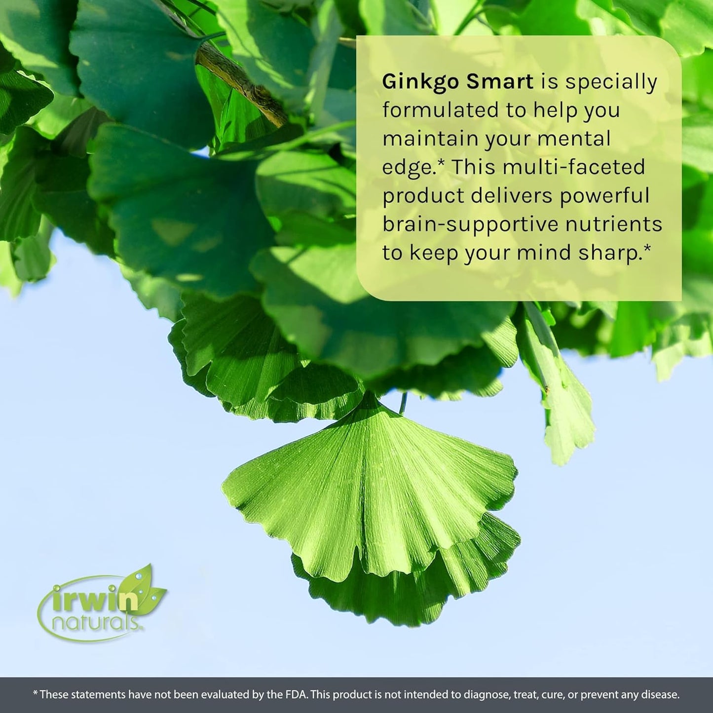 Premium Ginkgo Smart Nootropic Brain Booster for Memory and Focus - 120 Liquid Softgels with DMAE, Clubmoss, Choline & Acetyl L-Carnitine