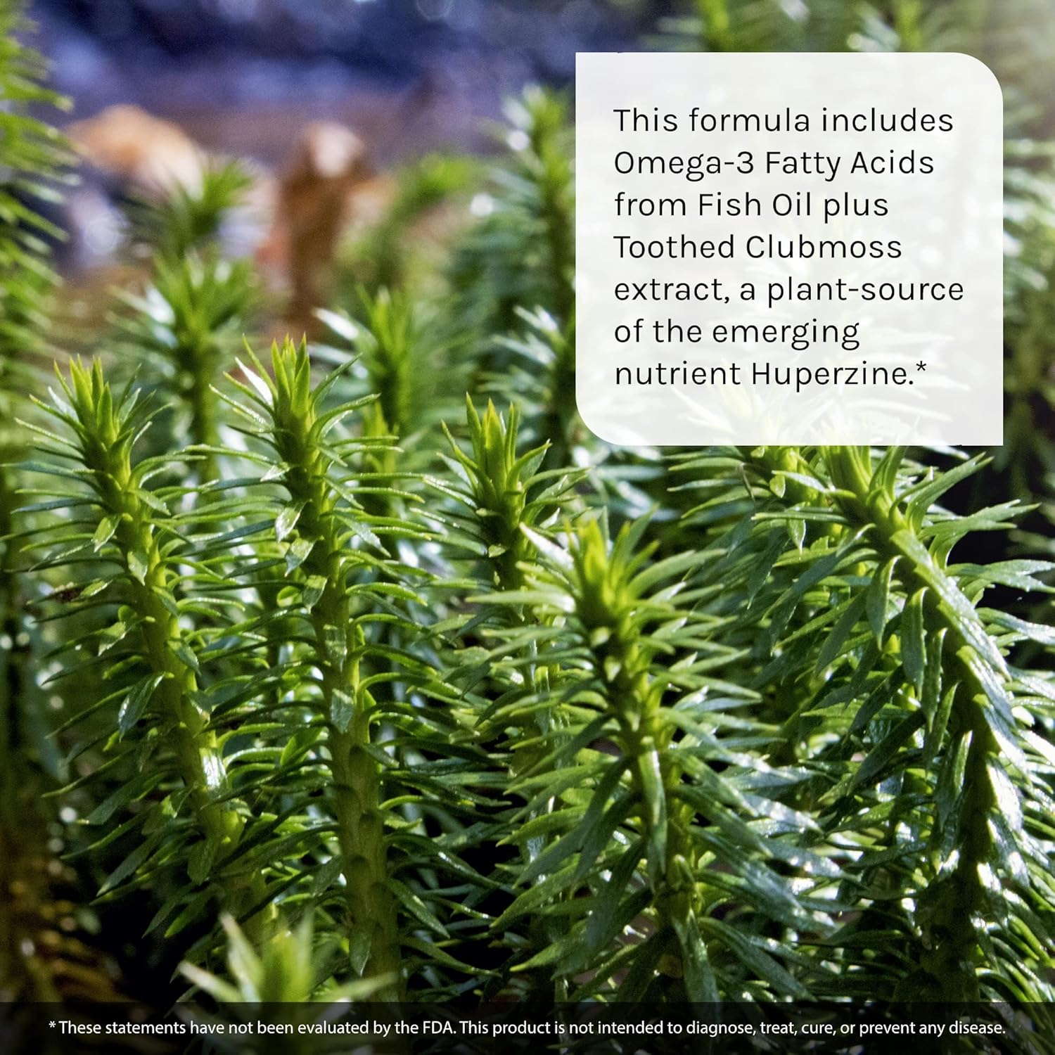 Premium Ginkgo Smart Nootropic Brain Booster for Memory and Focus - 120 Liquid Softgels with DMAE, Clubmoss, Choline & Acetyl L-Carnitine