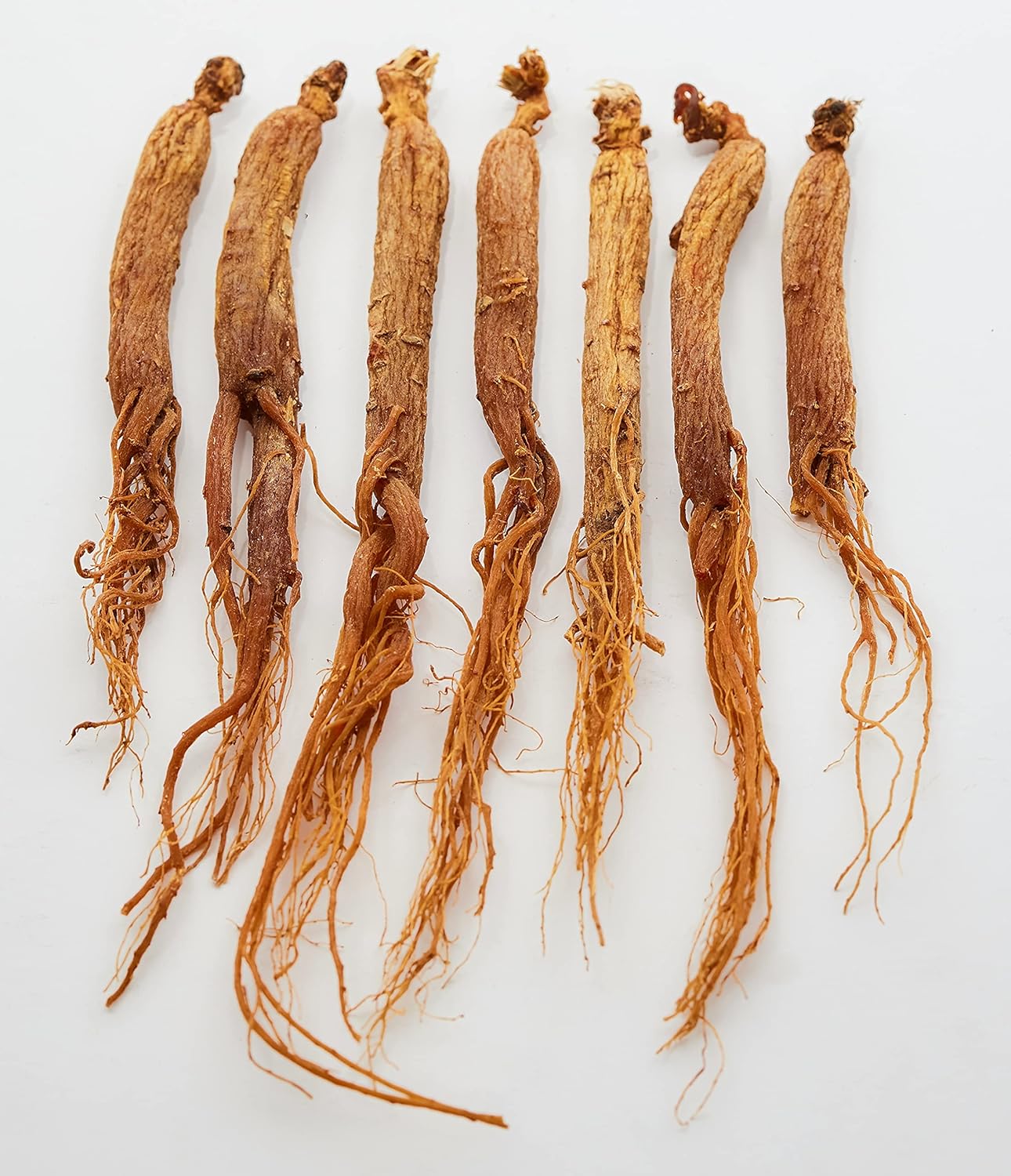 Premium Grade Korean Red Ginseng Whole Roots - High Ginsenosides for Energy and Mental Health - 6 Year Old, Very Large Size - 4oz Bottle