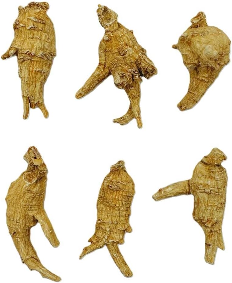 Premium Hand-Selected American Ginseng 4 Oz. Box - Green Nutrition Grade A Medium Round Size