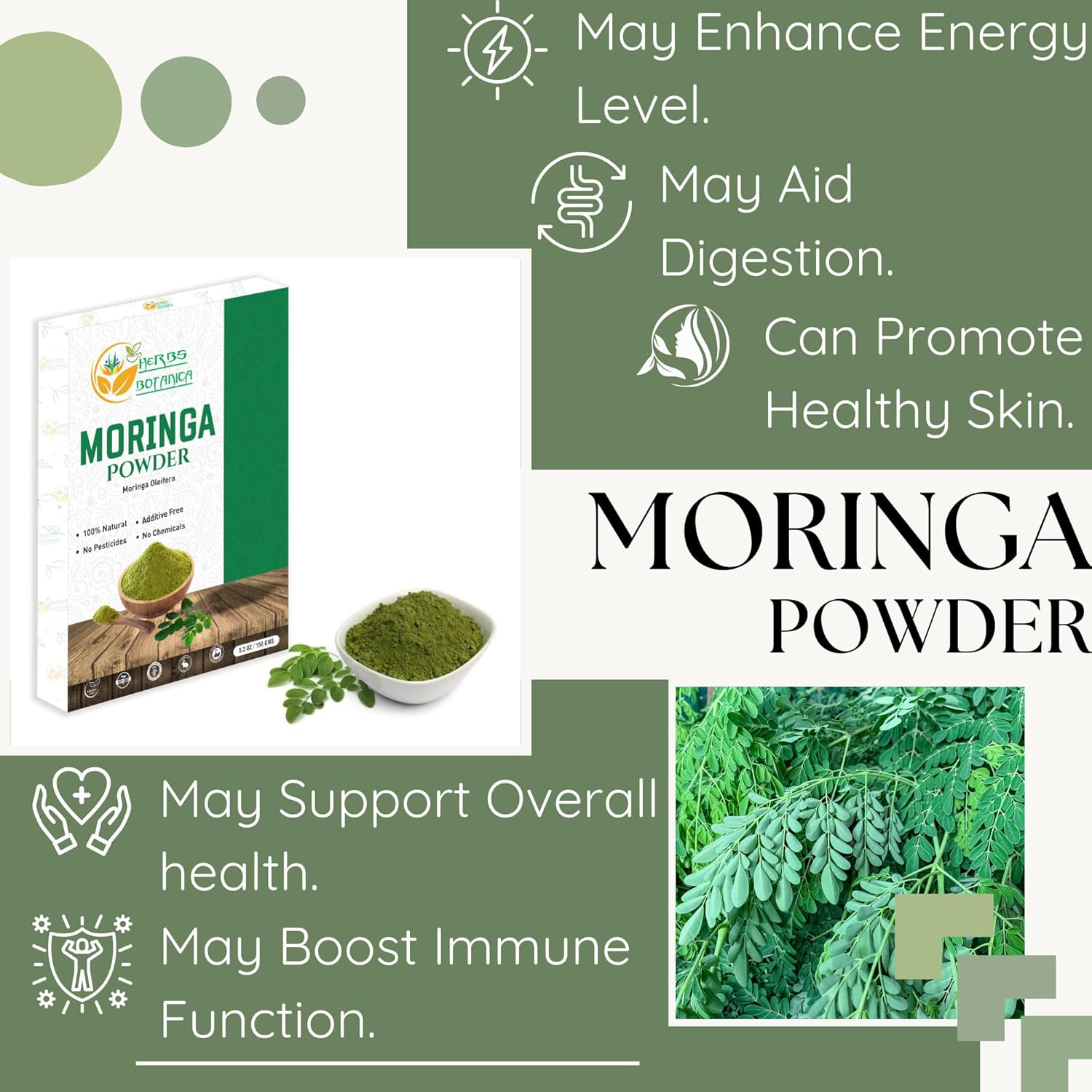 Premium Indian Moringa Leaf Powder 5.3oz Pack - Natural Vitamin Superfood for Immune Health and Energy Boost