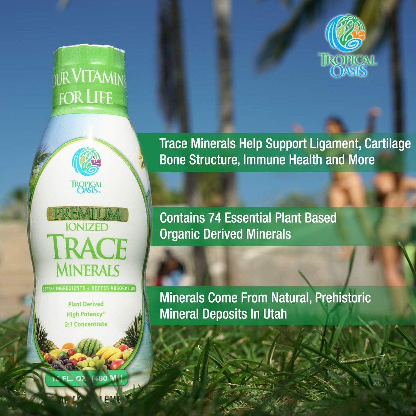 Premium Ionized Plant Based Trace Minerals Liquid Formula - 74 Essential Minerals for 96% Absorption - 16 oz Bottle