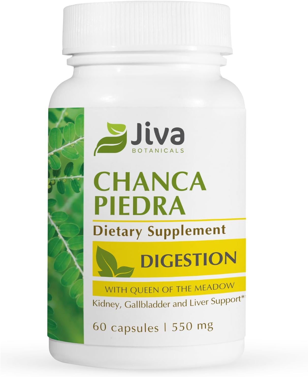 Premium Jiva Botanicals Chanca Piedra Supplement - 550 mg per Serving - 500mg Extract with 50mg Queen of The Meadow - 60 Day Supply