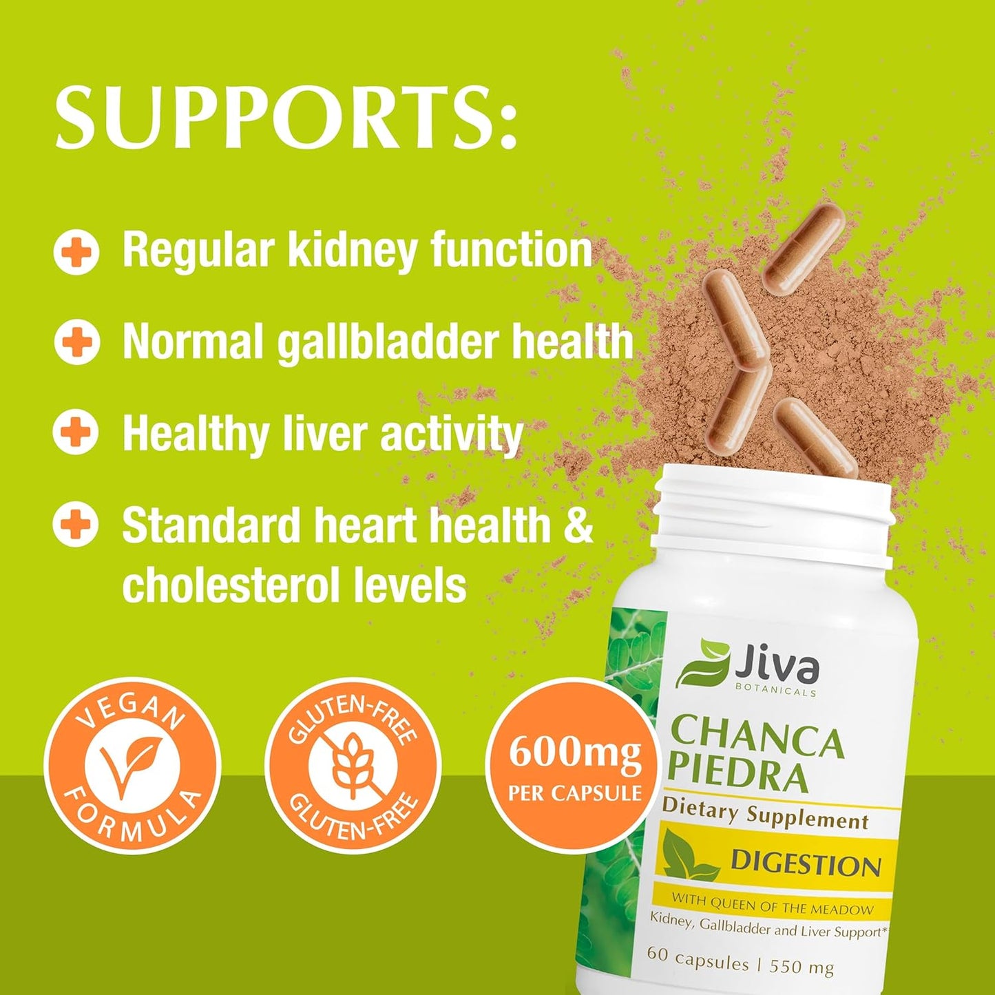 Premium Jiva Botanicals Chanca Piedra Supplement - 550 mg per Serving - 500mg Extract with 50mg Queen of The Meadow - 60 Day Supply