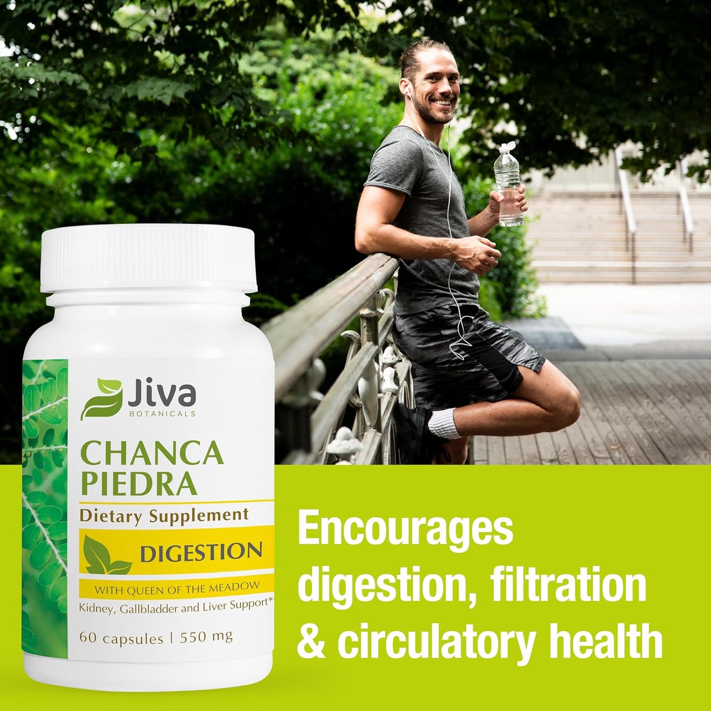 Premium Jiva Botanicals Chanca Piedra Supplement - 550 mg per Serving - 500mg Extract with 50mg Queen of The Meadow - 60 Day Supply