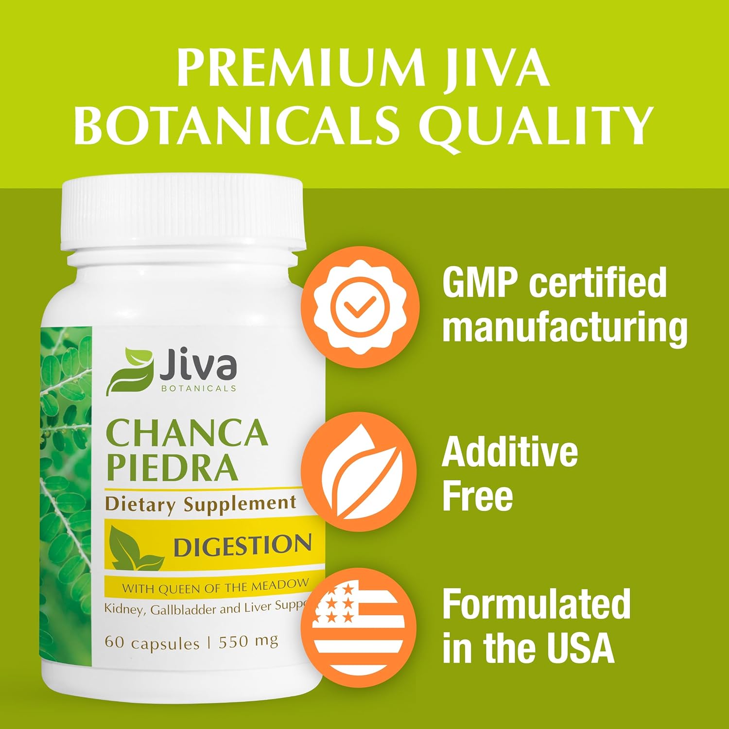 Premium Jiva Botanicals Chanca Piedra Supplement - 550 mg per Serving - 500mg Extract with 50mg Queen of The Meadow - 60 Day Supply
