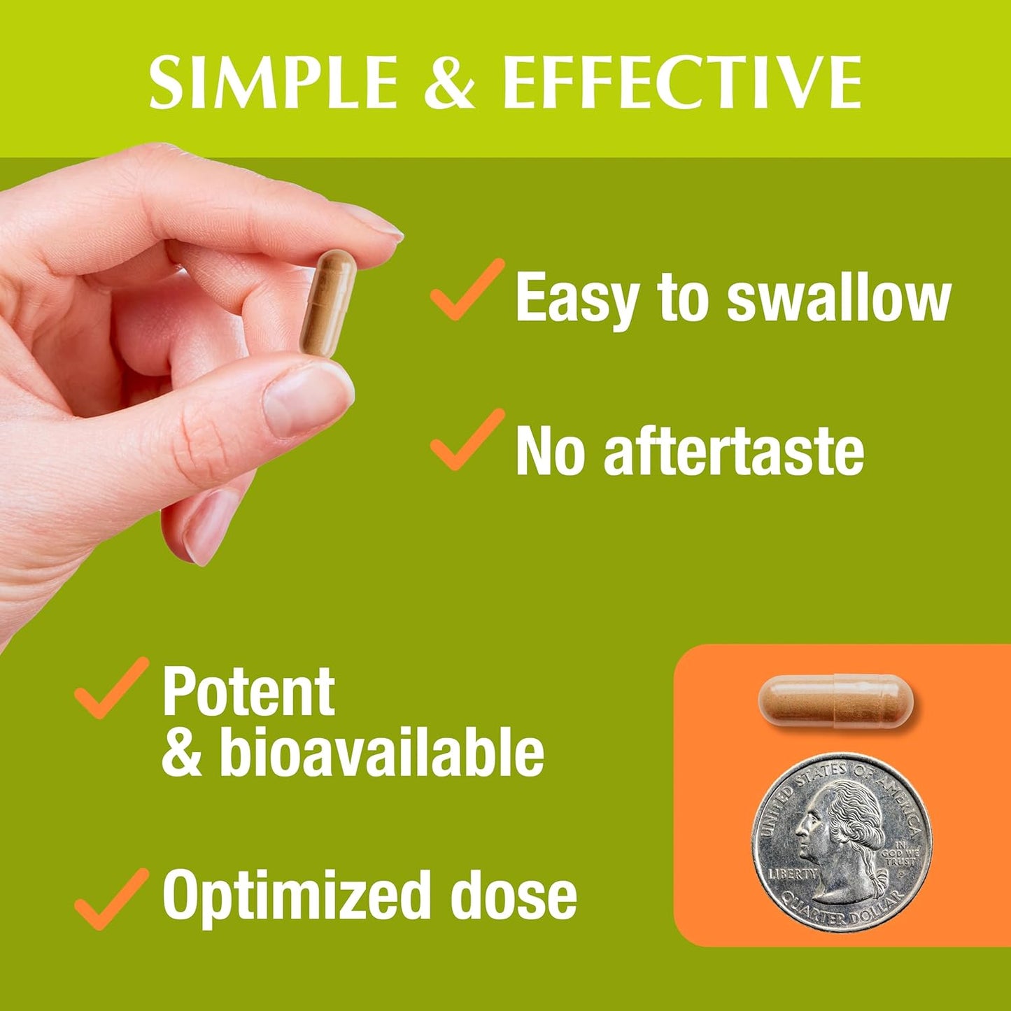 Premium Jiva Botanicals Chanca Piedra Supplement - 550 mg per Serving - 500mg Extract with 50mg Queen of The Meadow - 60 Day Supply