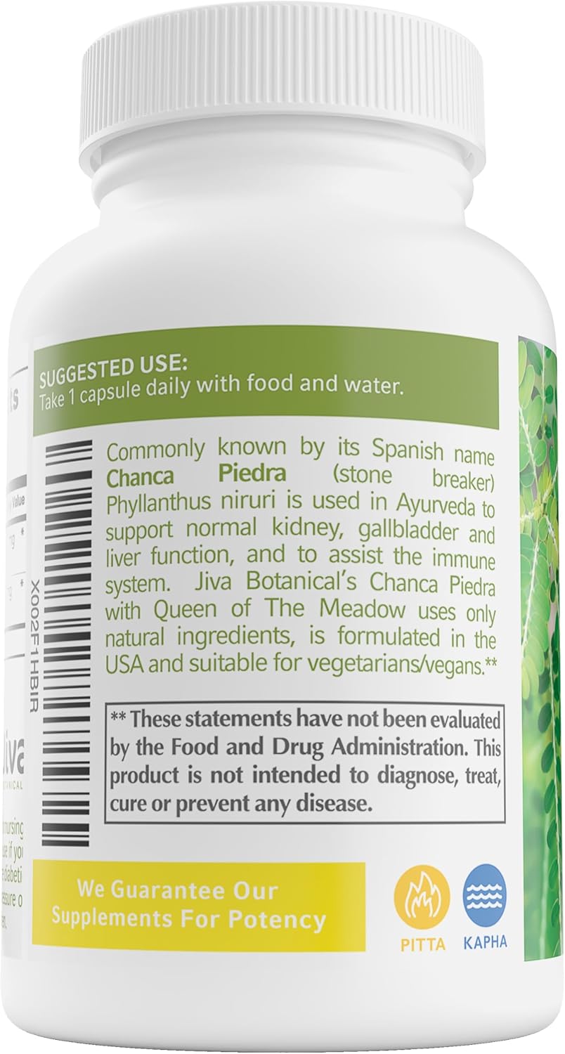 Premium Jiva Botanicals Chanca Piedra Supplement - 550 mg per Serving - 500mg Extract with 50mg Queen of The Meadow - 60 Day Supply