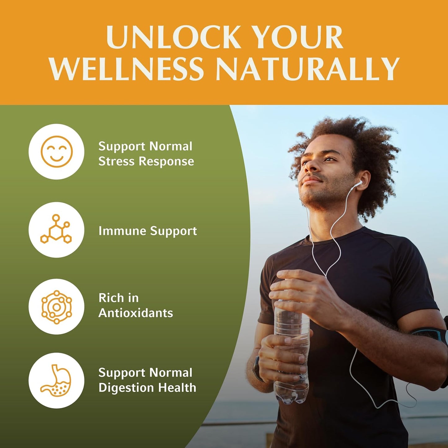 Premium Jiva Botanicals Holy Basil Capsules with Tulsi Powder - Natural Ayurvedic Herb Supplement - 90 Vegan Capsules