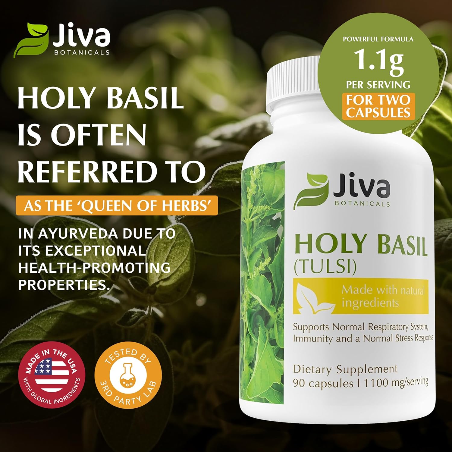 Premium Jiva Botanicals Holy Basil Capsules with Tulsi Powder - Natural Ayurvedic Herb Supplement - 90 Vegan Capsules