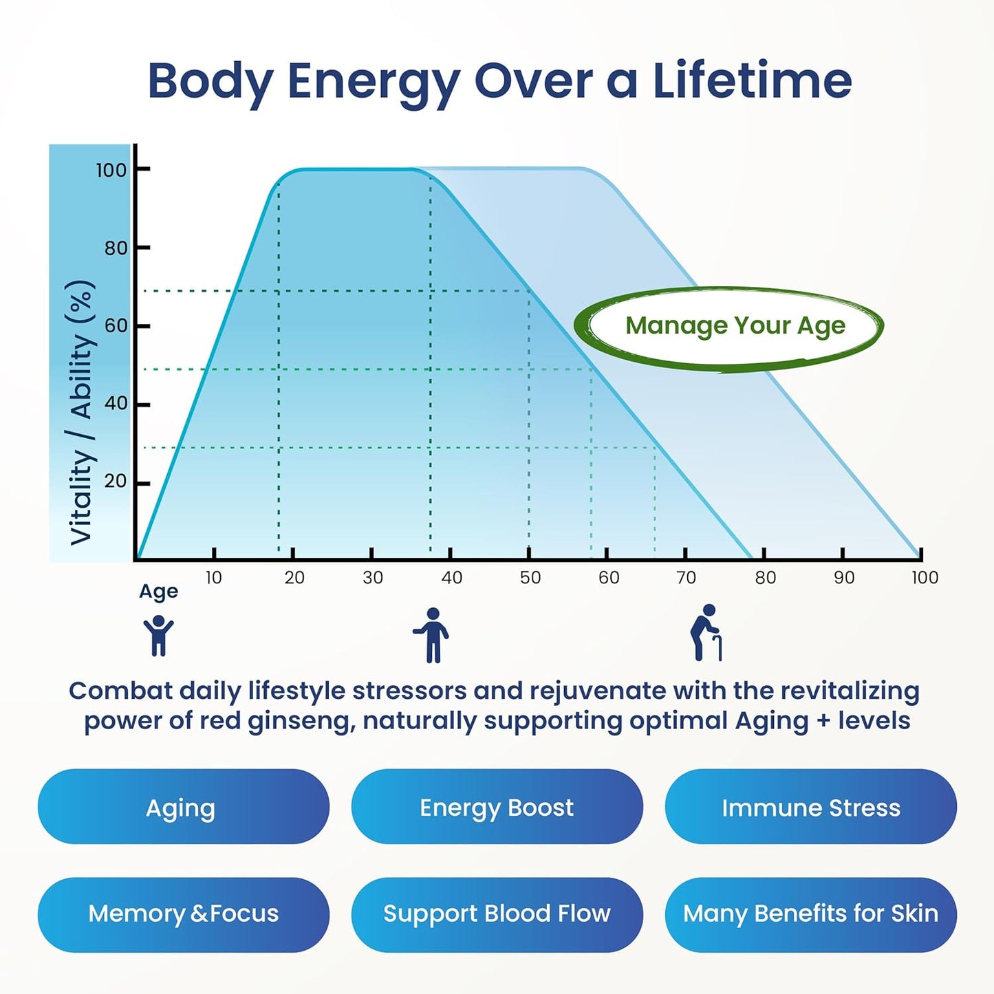 Premium Korean Red Ginseng Capsules for Anti Aging, Energy Boost, Immune Support, and Memory - 60 Capsules - 100% Red Ginseng