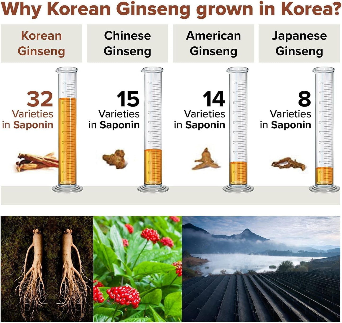 Premium Korean Red Ginseng Capsules with Pure Ginsenosides Rg3 for Natural Energy Support