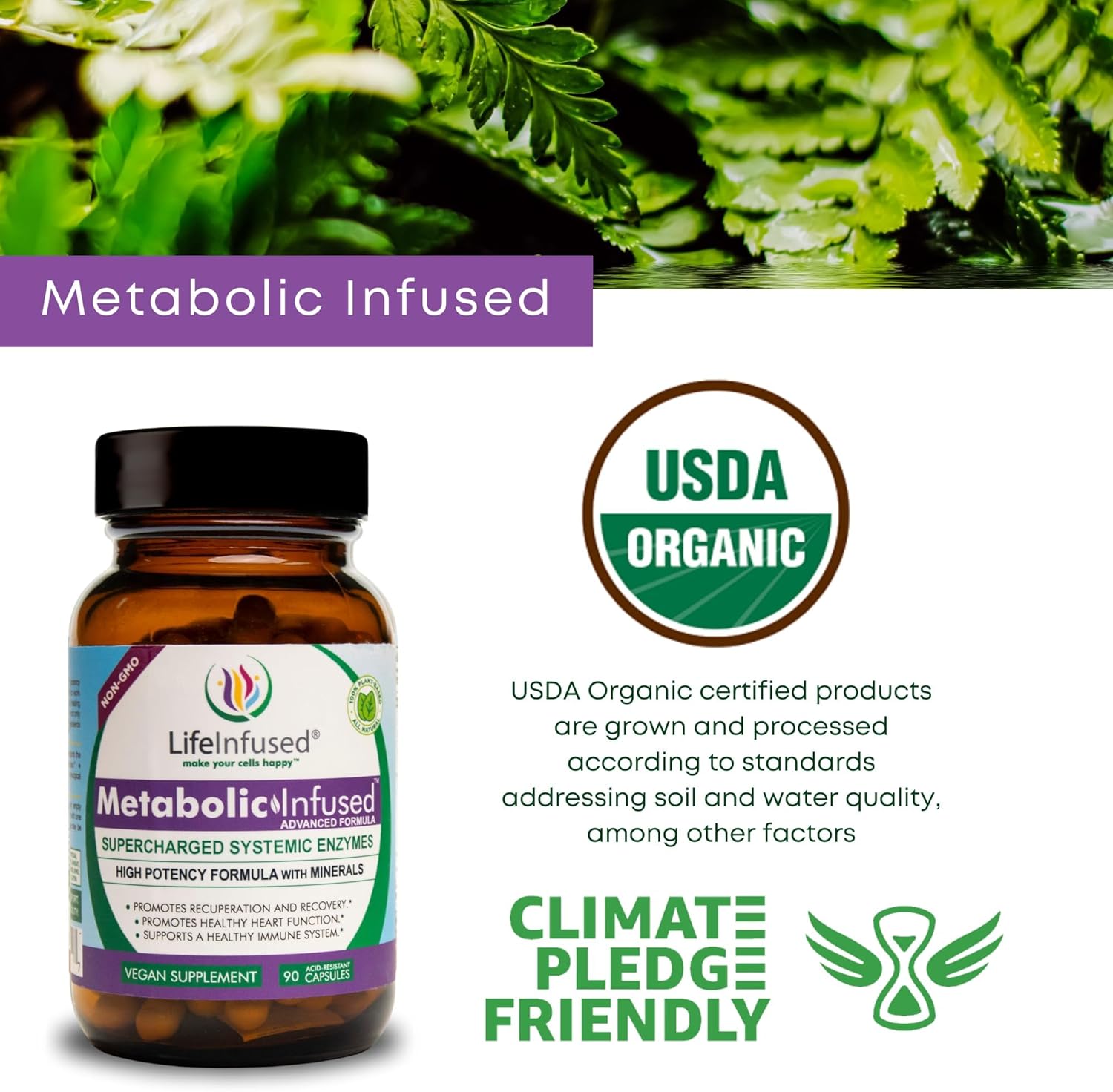 Premium Life Infused Metabolic Support - Vegan Blend of 11 Enzymes & 72 Minerals for Healthy Immune System - 90 Servings