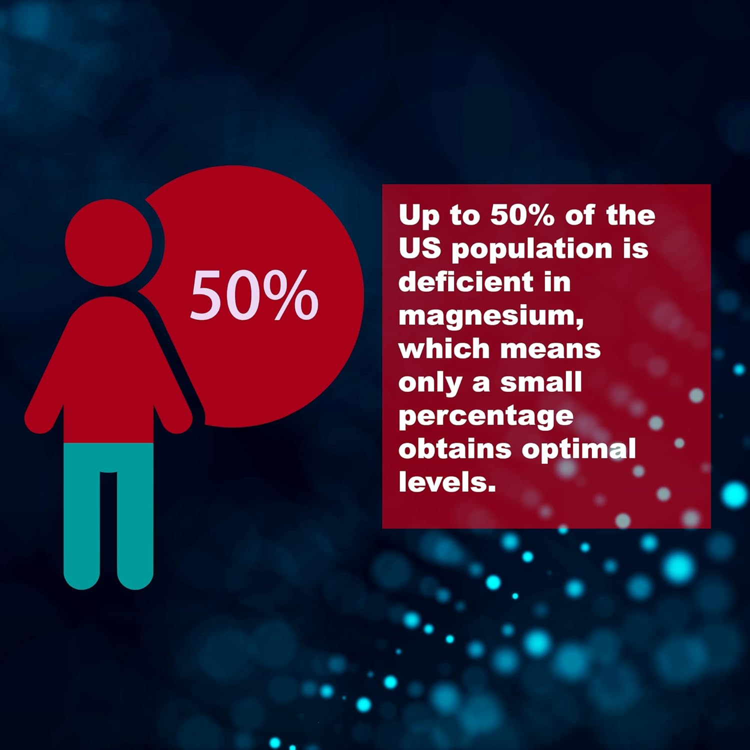 Premium Magnesium Orotate Tablets for Brain, Bone, and Cardio Health | 775mg x 100 | Gluten-Free, Non-GMO | Made in USA by LifeLink