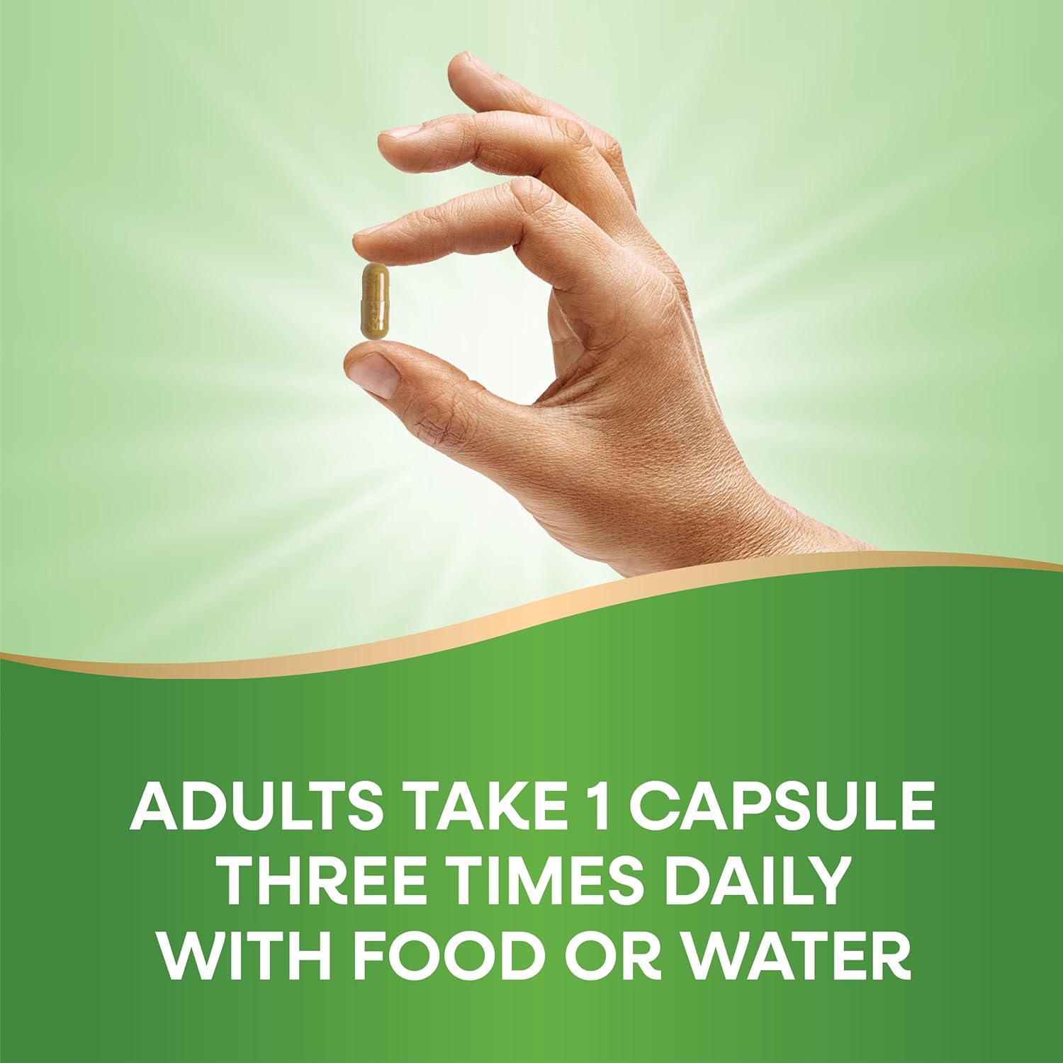 Premium Milk Thistle Blend with 80% Silymarin - 120 Capsules, Non-GMO Formula by Nature's Way