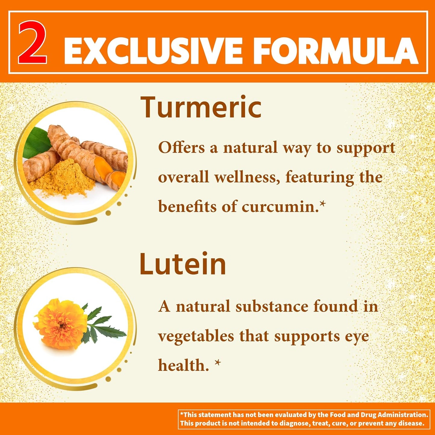 Premium Multivitamin for Adults 30+ with Enzymes, Turmeric & Nutrient Support - 120 Vegetarian Tablets