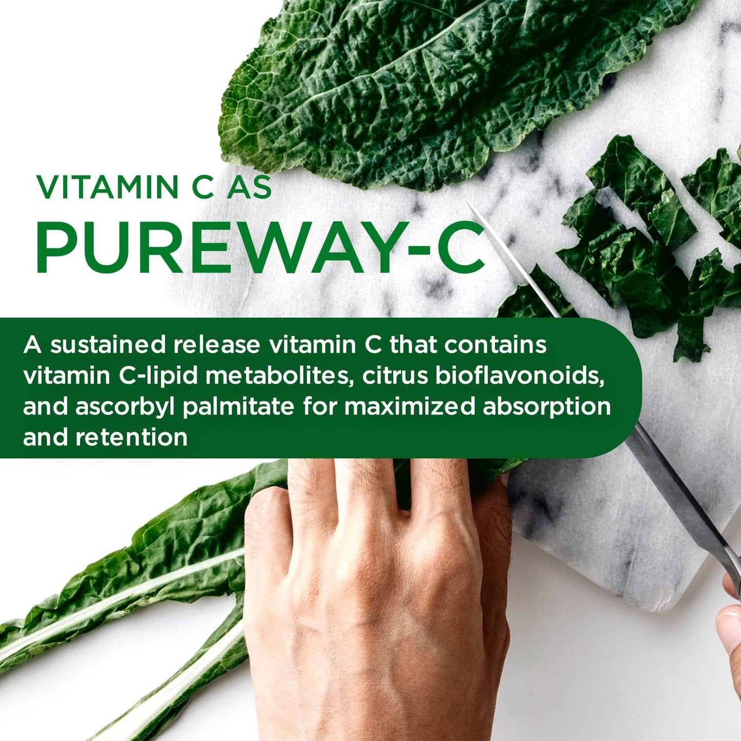 Premium Multivitamin with Digestive & Immune Support - 60 Vegetable Capsules - Vitamin C, B Vitamin Complex, Albion Chelated Zinc - 30-Day Supply