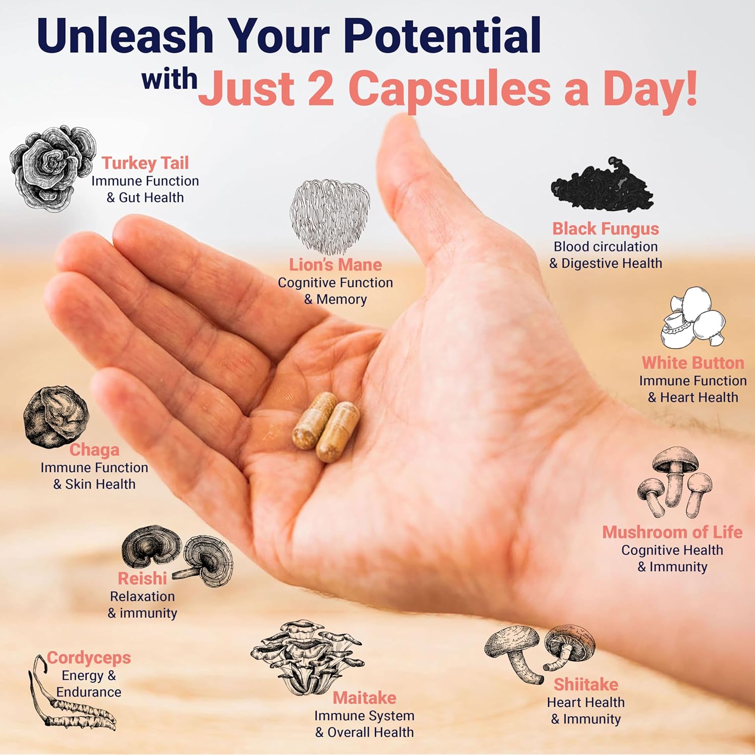 Premium Mushroom Complex Capsules - Lion's Mane Supplement with Turkey Tail, Shiitake, Cordyceps, Reishi, Chaga, Maitake - Immune Support Herbal Supplements