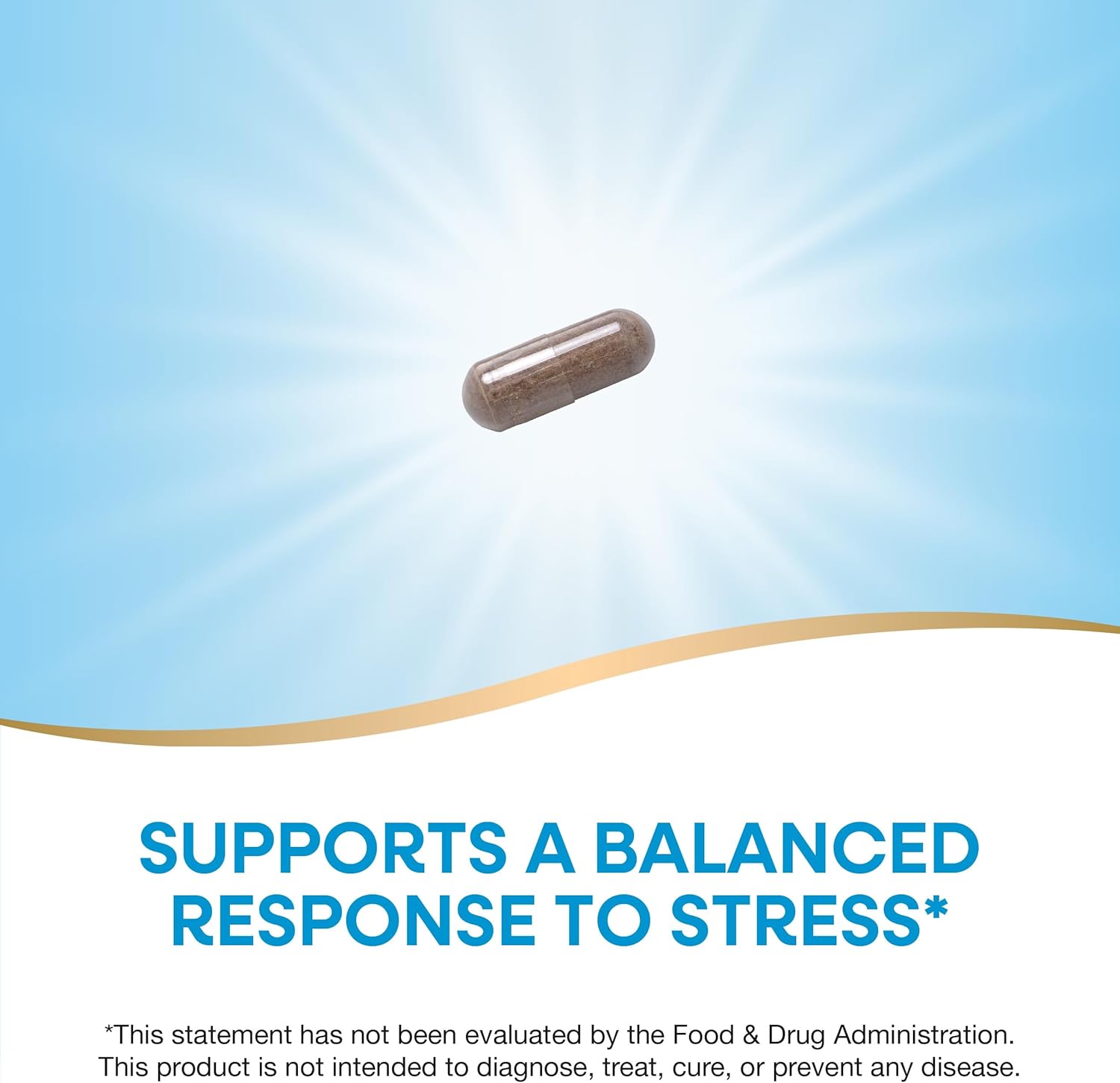 Premium Nature's Way Ashwagandha Capsules - Stress-Reducing Adaptogenic Supplement - Non-GMO Vegan Extract - 60 Count