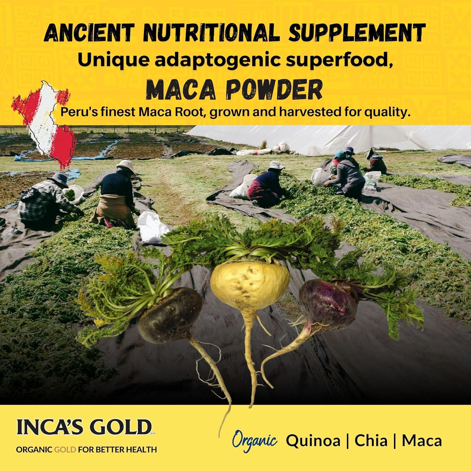 Premium Organic Black Maca Gelatinized Root Powder for Men - 170g - Inca's Gold