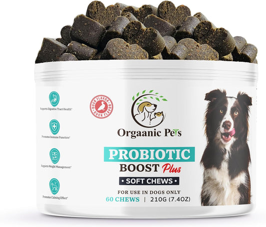 Premium Organic Dog Probiotic Chews - Enhance Gut Health, Alleviate Allergies - Probiotics, Postbiotics, Prebiotics, Colostrum, Glutamine, Mushrooms, Pumpkin, Quercetin, Superfood Blend