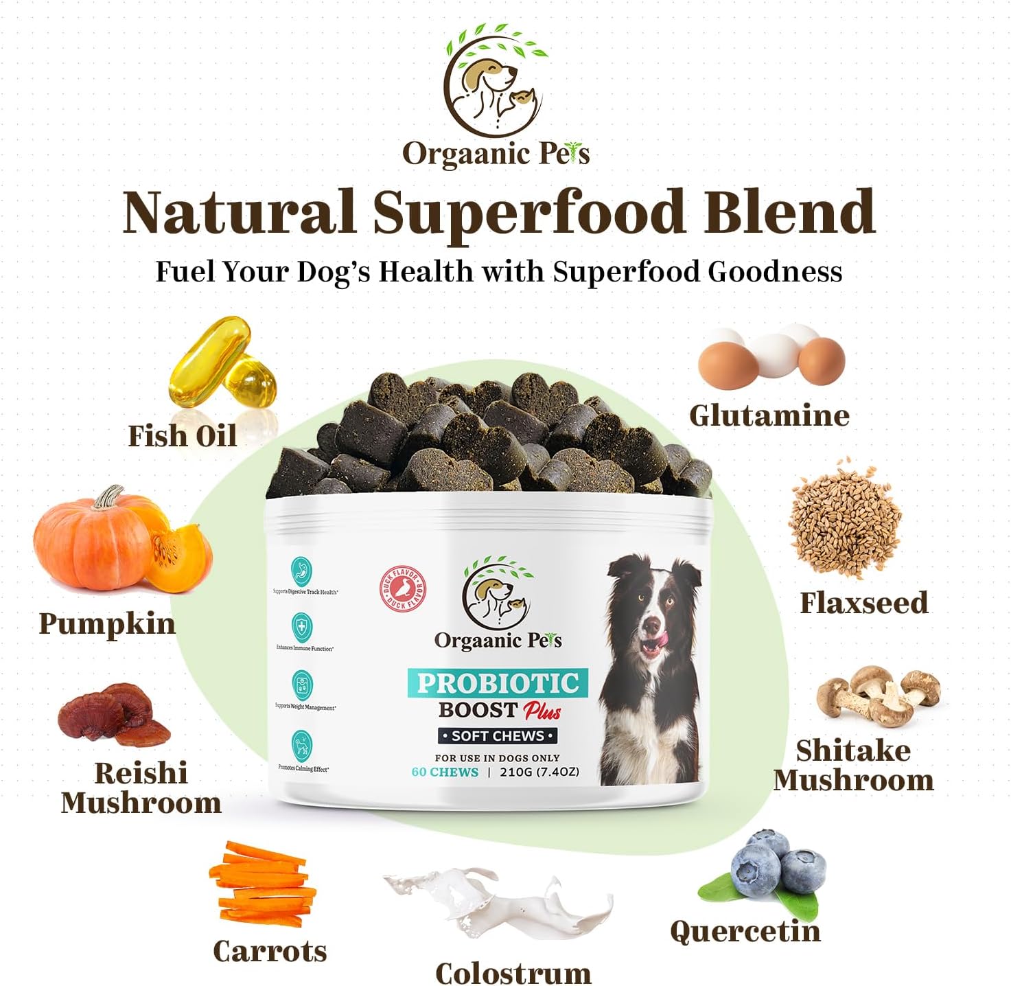 Premium Organic Dog Probiotic Chews - Enhance Gut Health, Alleviate Allergies - Probiotics, Postbiotics, Prebiotics, Colostrum, Glutamine, Mushrooms, Pumpkin, Quercetin, Superfood Blend