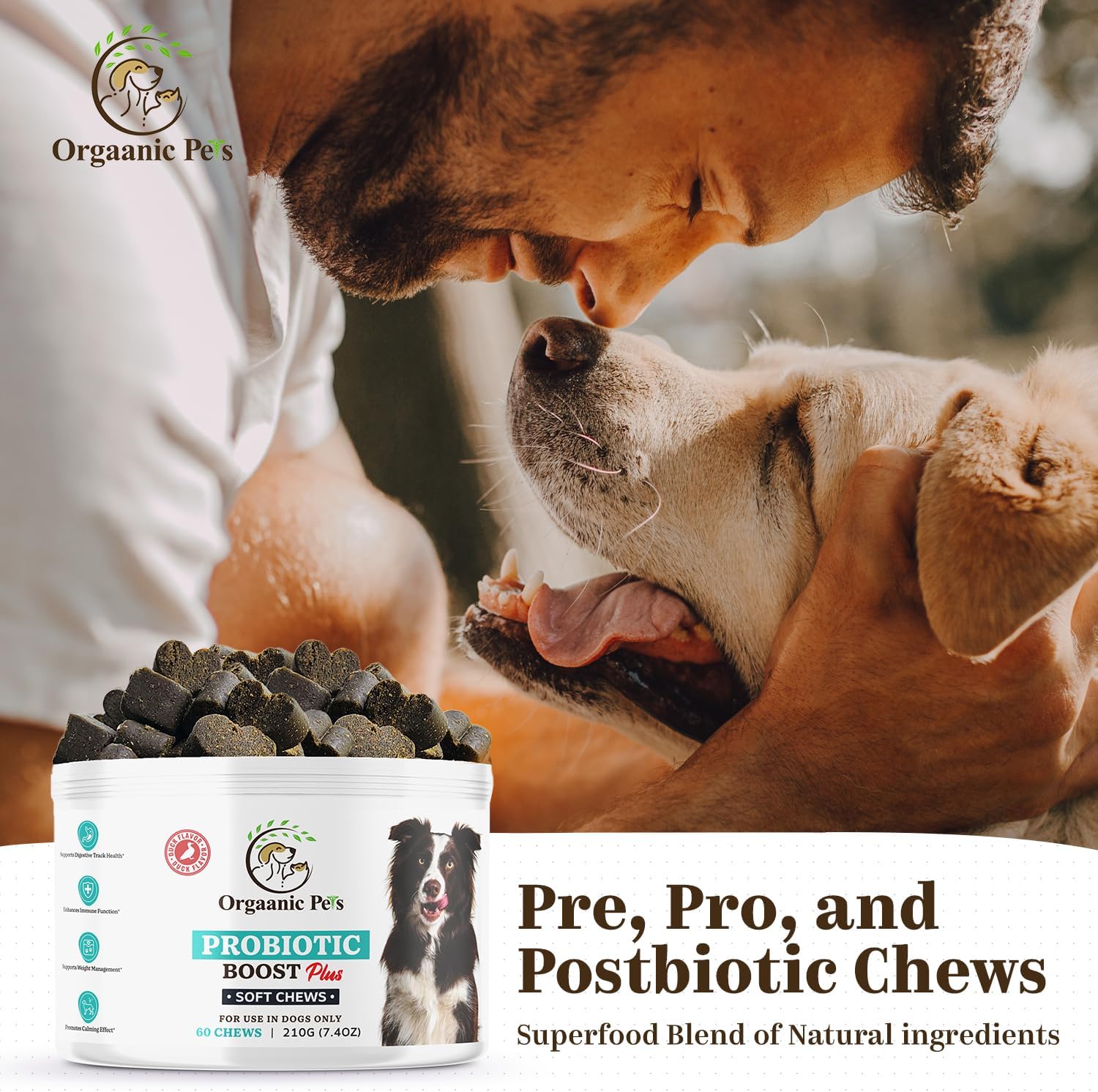 Premium Organic Dog Probiotic Chews - Enhance Gut Health, Alleviate Allergies - Probiotics, Postbiotics, Prebiotics, Colostrum, Glutamine, Mushrooms, Pumpkin, Quercetin, Superfood Blend
