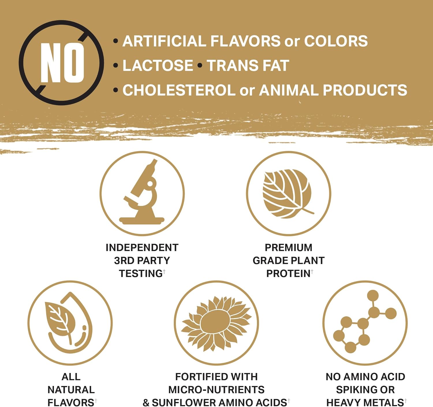 Premium Organic Plant-Based Protein Powder - Vegan & Keto Friendly with Gourmet Flavors | Ambrosia Planta - No Bloating, Gluten or Added Sugar | 25 Servings | Cookies Cream Flavor