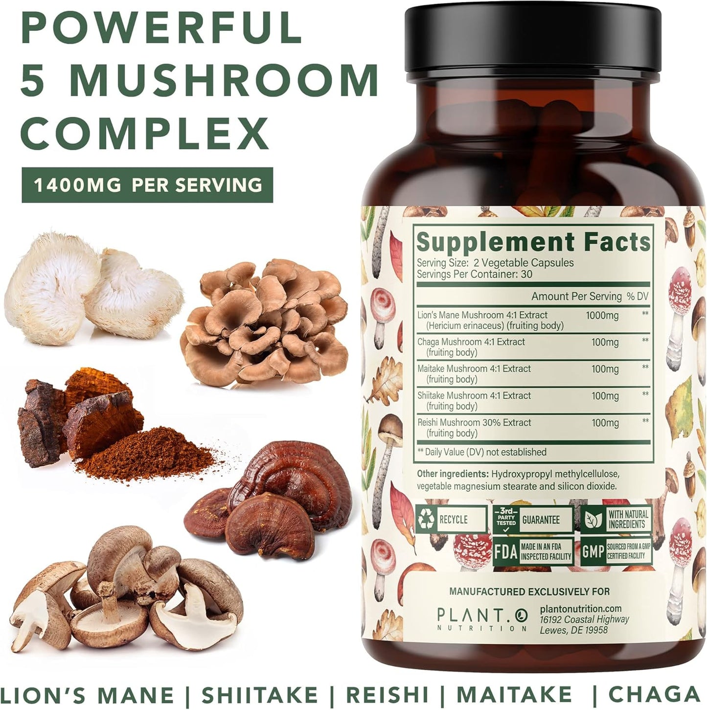 Premium Plant-Based Lion's Mane Nootropic Brain Supplement with 5 Mushroom Complex - Immunity, Focus, Mood, Memory - 90 Capsules