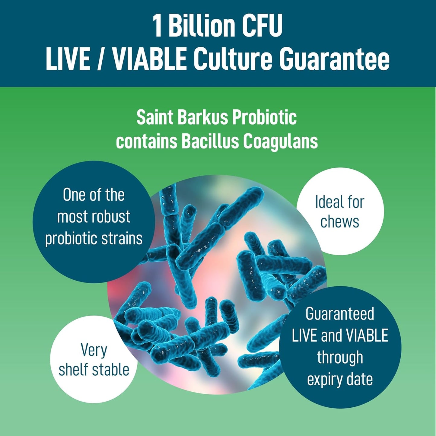 Premium Probiotic and Fiber Supplement for Dogs - Supports Digestive Health, Regularity, and Gut Health - 90 Count - Give Back to No-Kill Shelters!