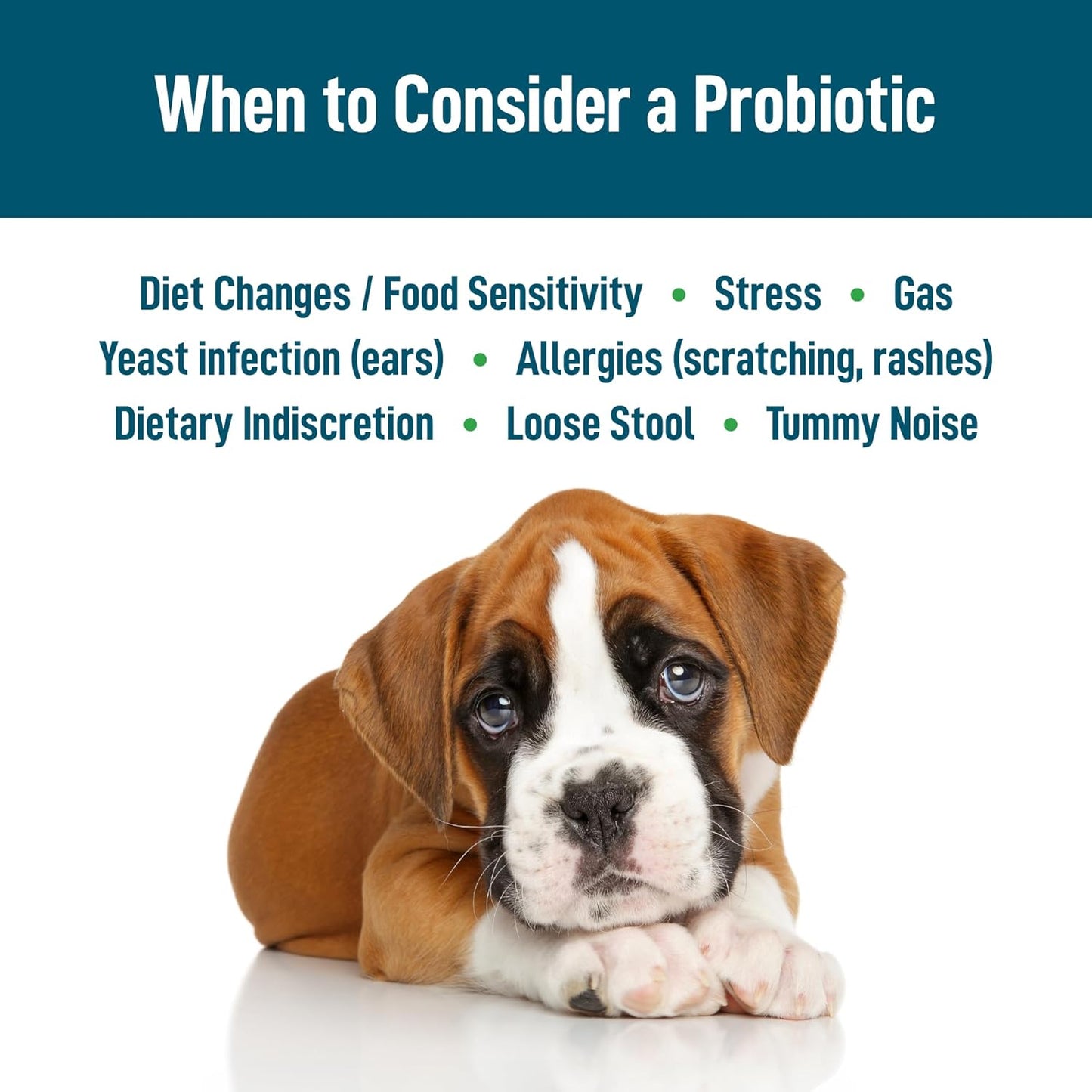 Premium Probiotic and Fiber Supplement for Dogs - Supports Digestive Health, Regularity, and Gut Health - 90 Count - Give Back to No-Kill Shelters!