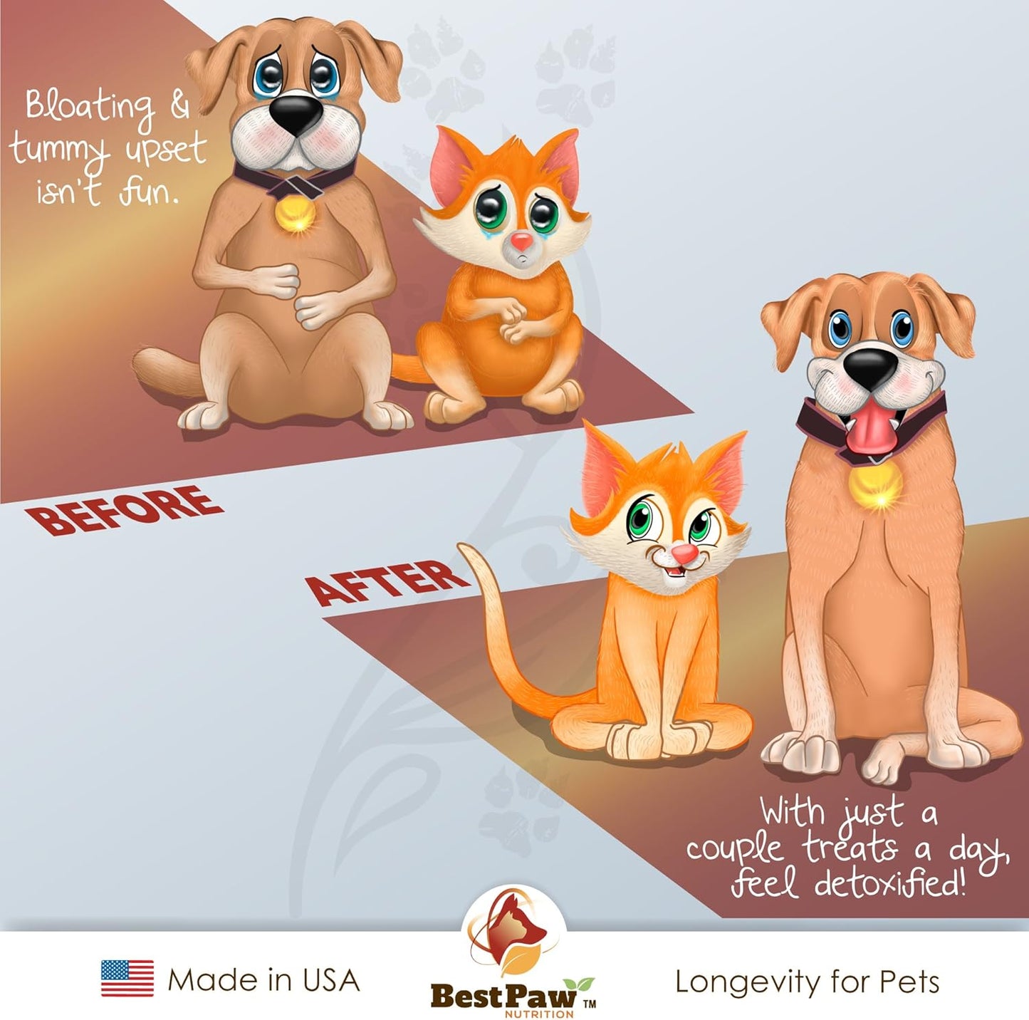 Premium Probiotic, Prebiotic, and Digestive Enzymes for Dogs and Cats - Organic Turmeric, Coconut Oil, Pumpkin, and Kelp for Healthy Gut and Urinary Tract Functions - 5 Billion CFU