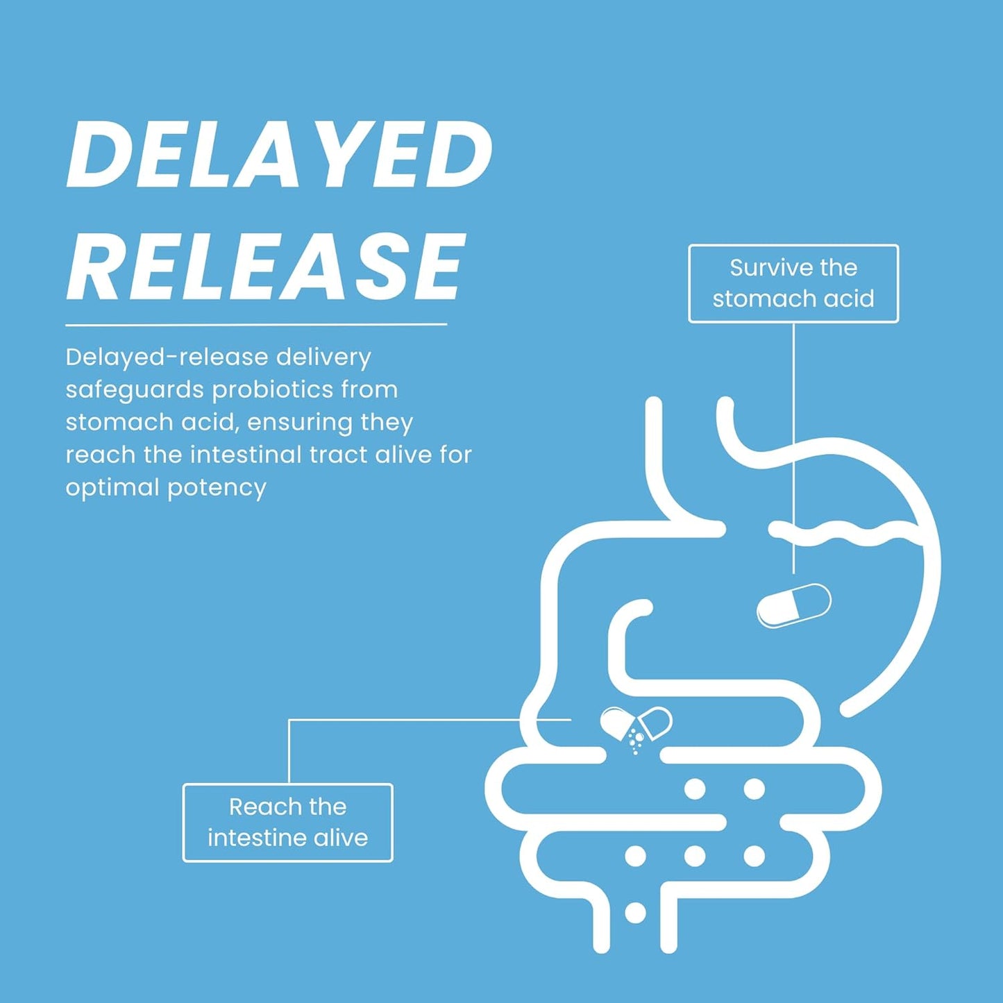 Premium Probiotic Supplement for Women - 50 Billion CFU, 16 Strains, Organic Prebiotics, Eurofins Lab Tested - Digestive, Vaginal, Immune & Urinary Health - 2 Month Supply - 60 Capsules