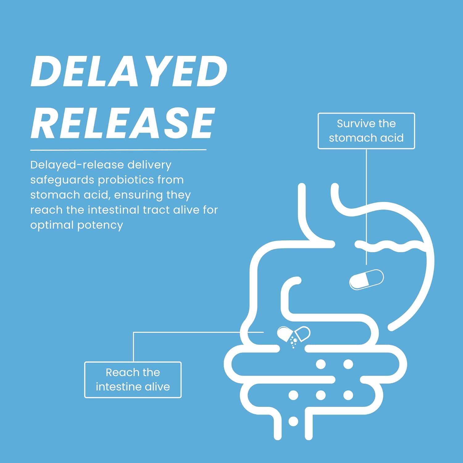 Premium Probiotic Supplement for Women - 50 Billion CFU, 16 Strains, Organic Prebiotics, Eurofins Lab Tested - Digestive, Vaginal, Immune & Urinary Health - 2 Month Supply - 60 Capsules