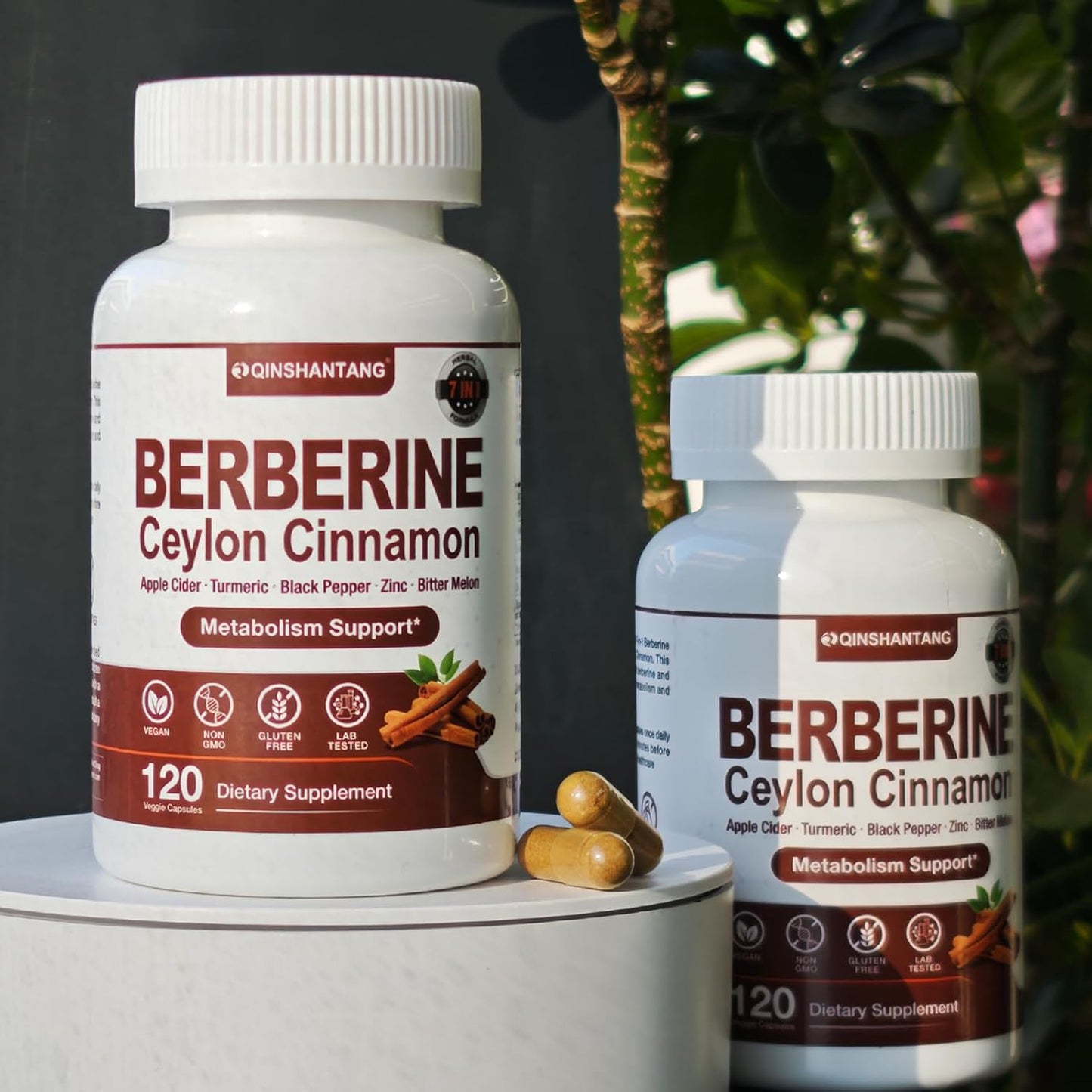 Premium QIN SHAN TANG Berberine with Ceylon Cinnamon Capsules - 120 Count, 1318mg - Vegan & Non-GMO - Immune Support & Natural Supplement Boost