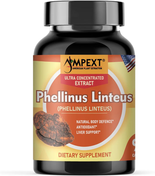 Premium Quality AMPEXT Phellinus linteus Mushroom Extract Capsules - Antioxidant, Immunity Booster, Liver Support - 90 Vegetarian Capsules