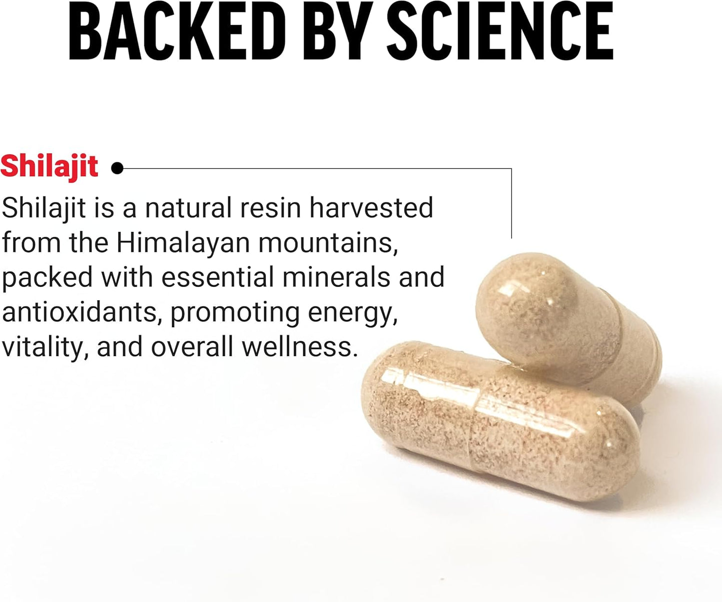 Premium Quality Vegan Shilajit Supplement for Energy and Brain Health - 60 Capsules