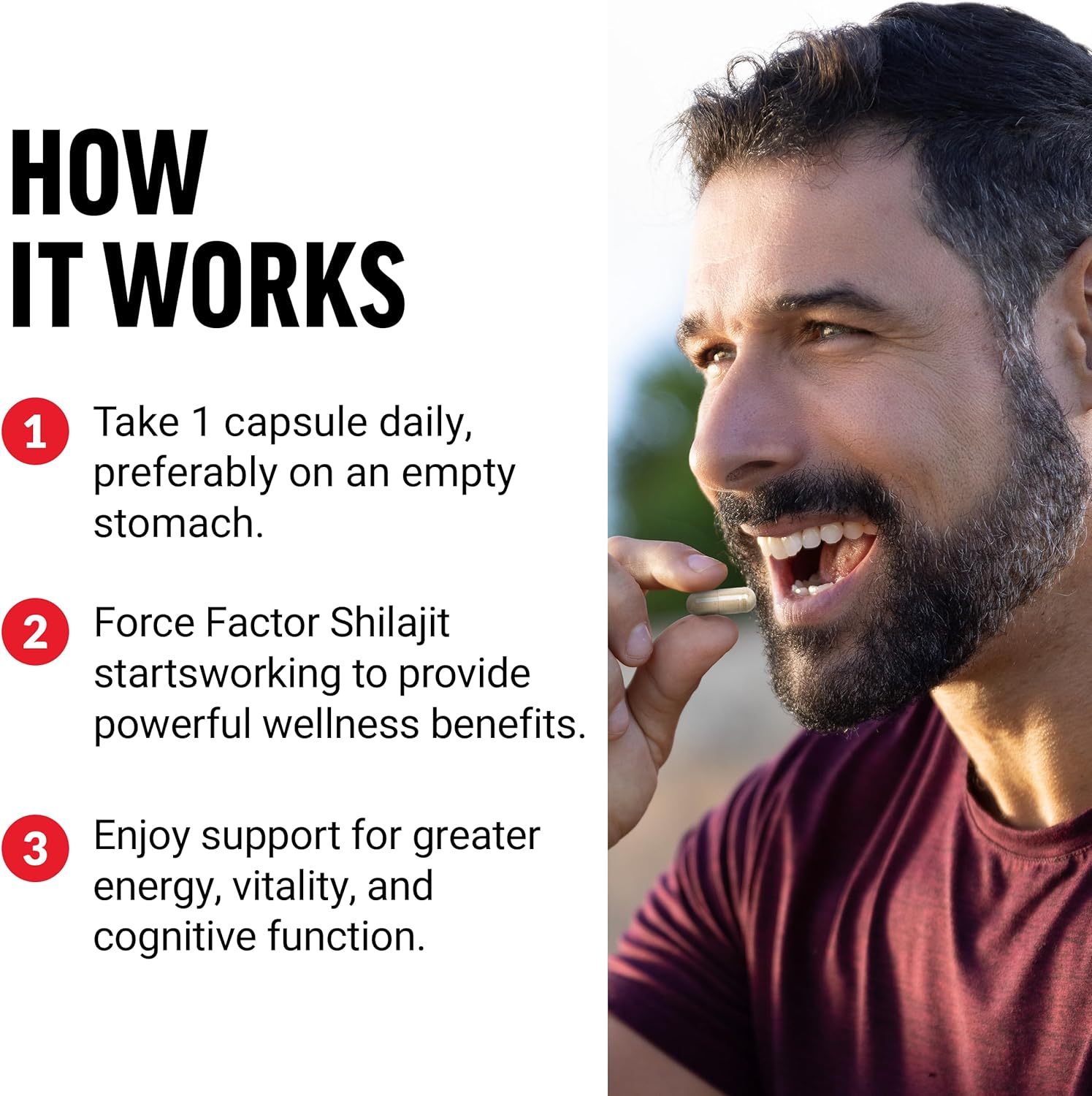 Premium Quality Vegan Shilajit Supplement for Energy and Brain Health - 60 Capsules