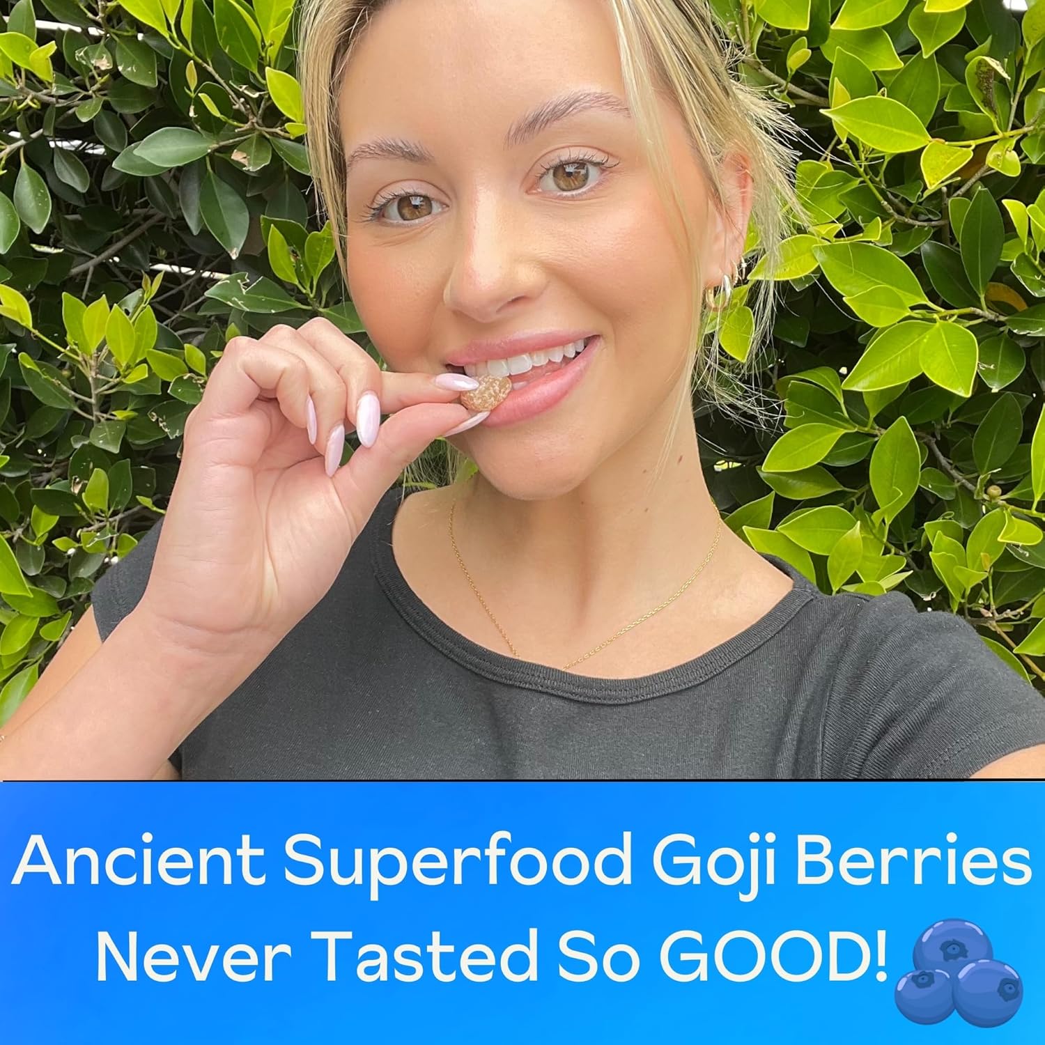 Premium Reprise Goji Berry Superfood Gummies - Full-Potency 240mg Antioxidants, Vegan, 45 Blueberry Gummies