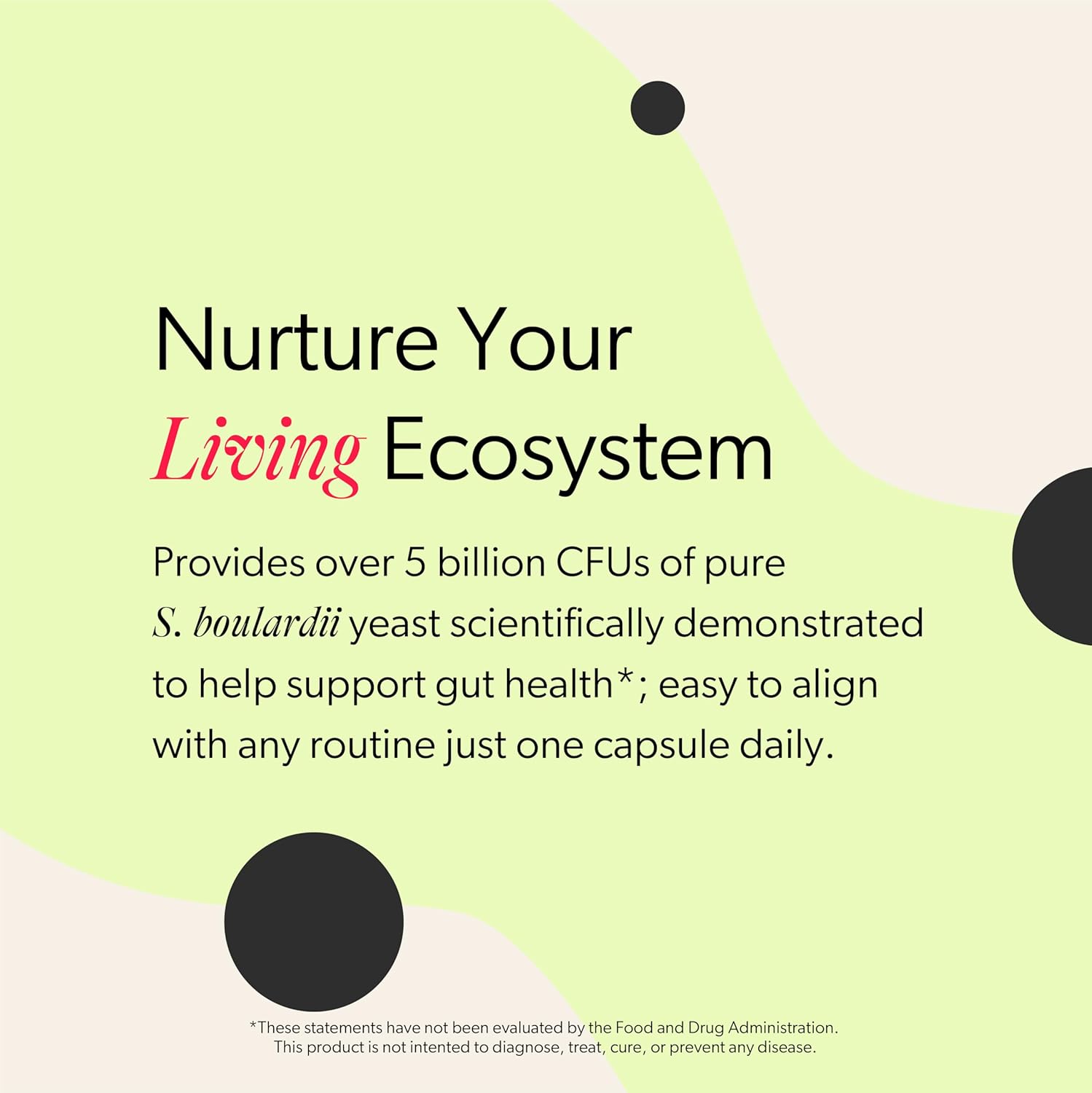 Premium S. boulardii Probiotic Capsules for Digestive & Immune Health - 5 Billion CFUs, Supports Healthy Microbiome Balance, Vegetarian - 30 Caps