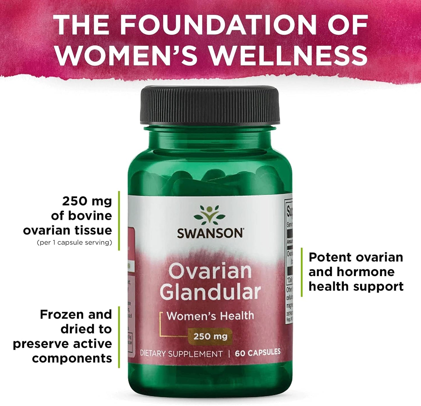Premium Swanson Ovarian Glandular Supplement for Women's Health - 60 Capsules x 250mg (3 Pack) - Supports Glandular Health and Balance