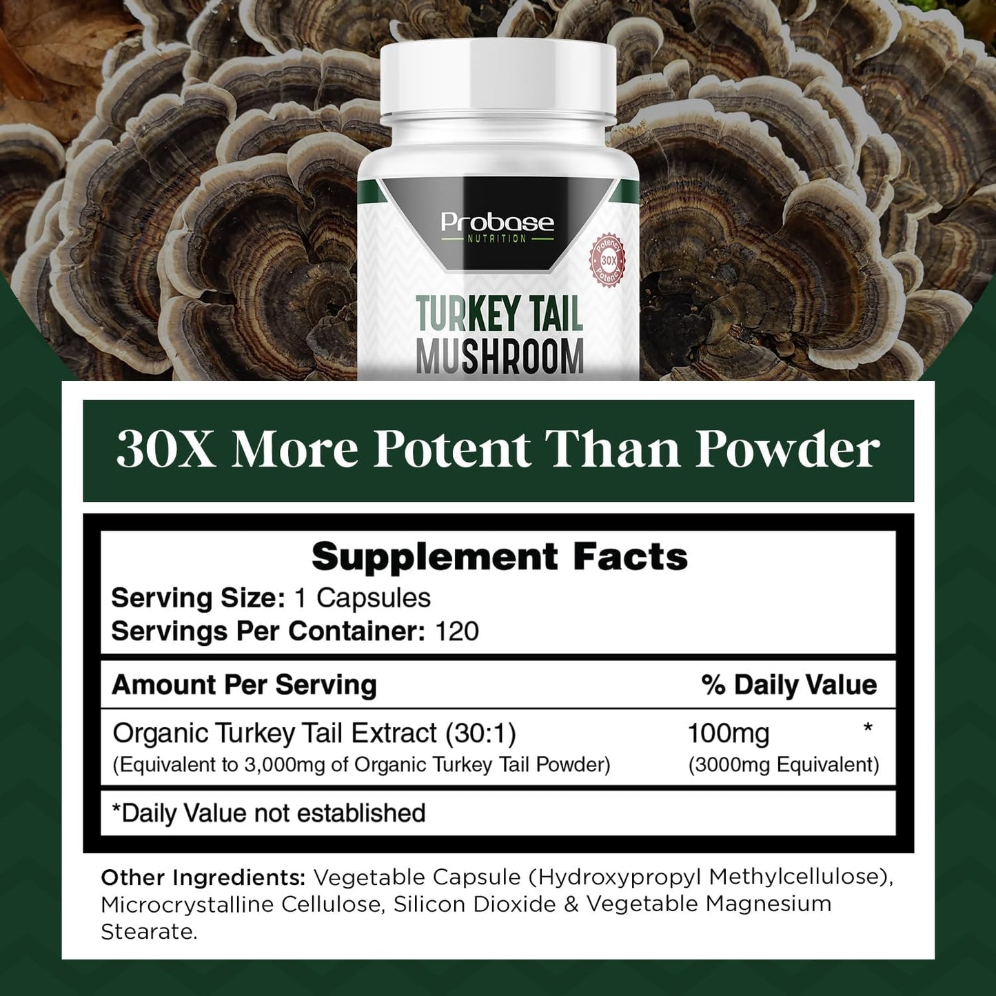 Premium Turkey Tail Mushroom Capsules - 4 Month Supply - 120 Capsules - Real Coriolus Versicolor Extract - Probase Nutrition